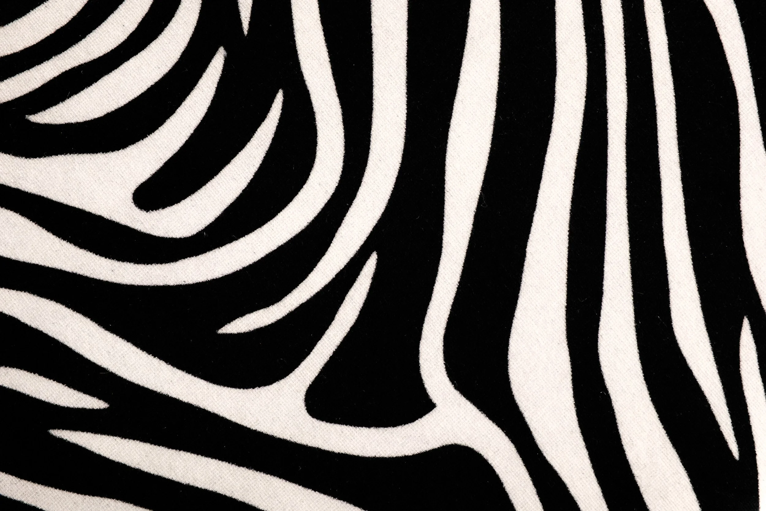 DSCF5715.jpg