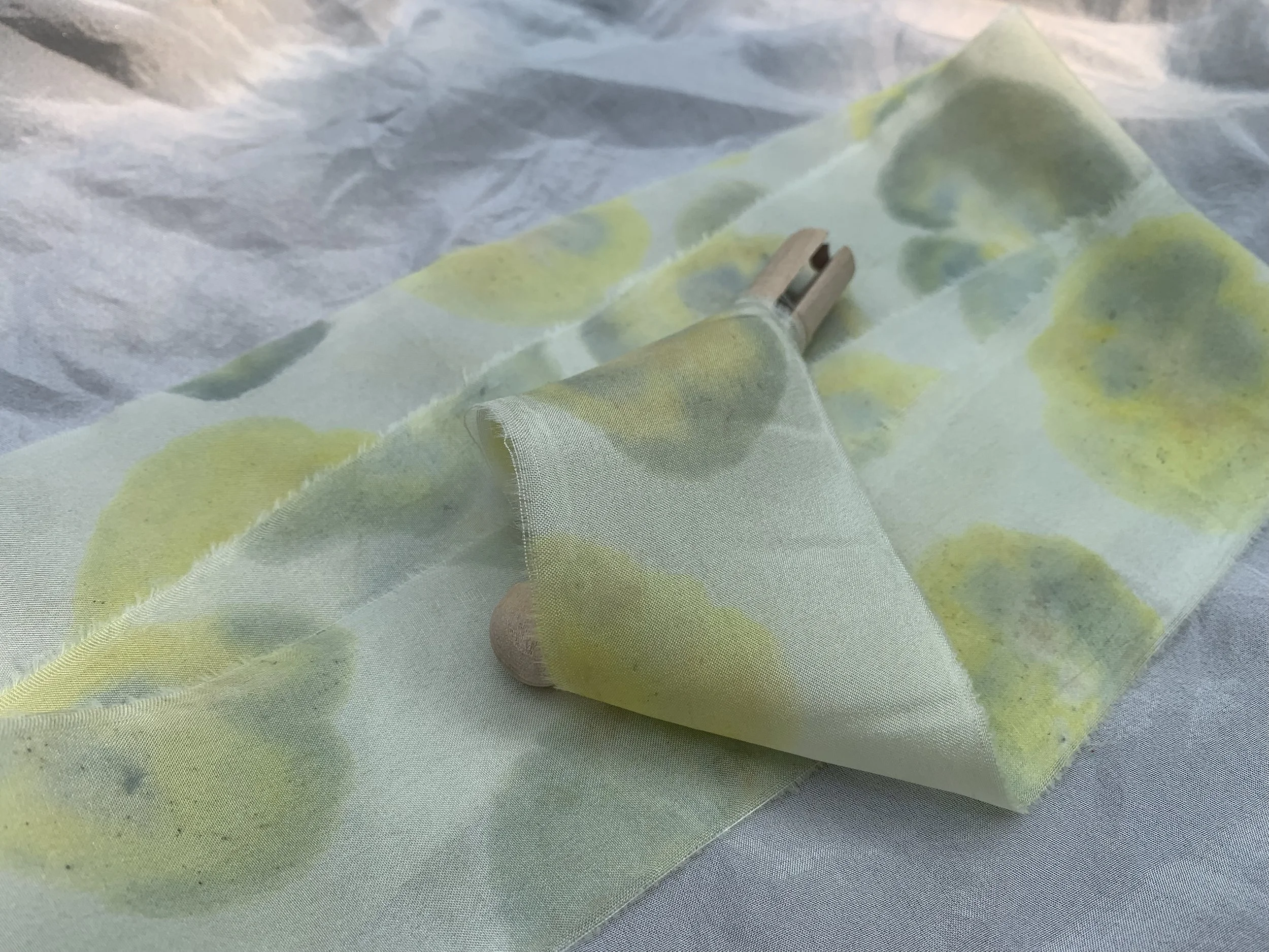 Pansy Print (Pansy) Ribbon - 1m