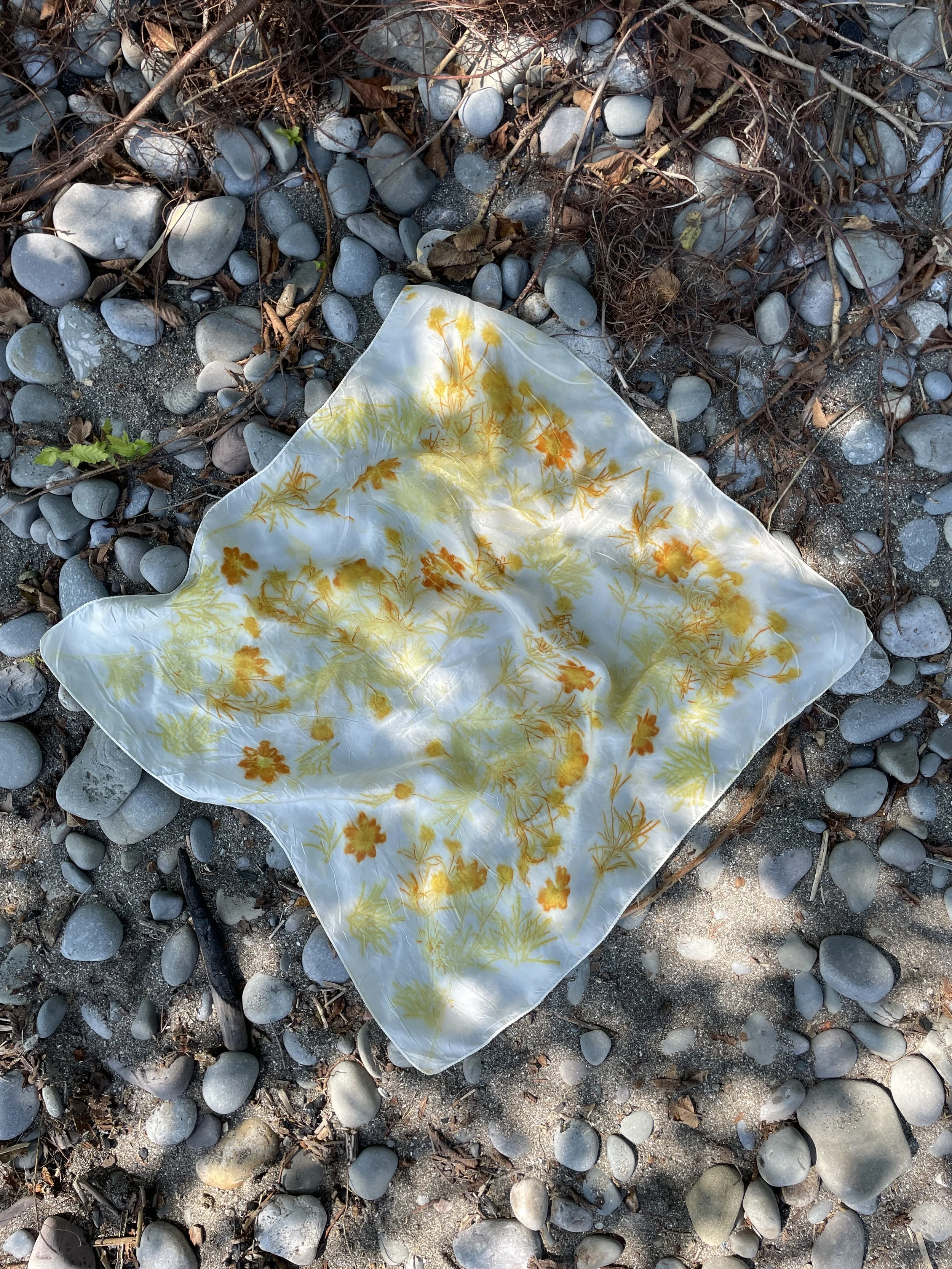 IMG_0497.JPG