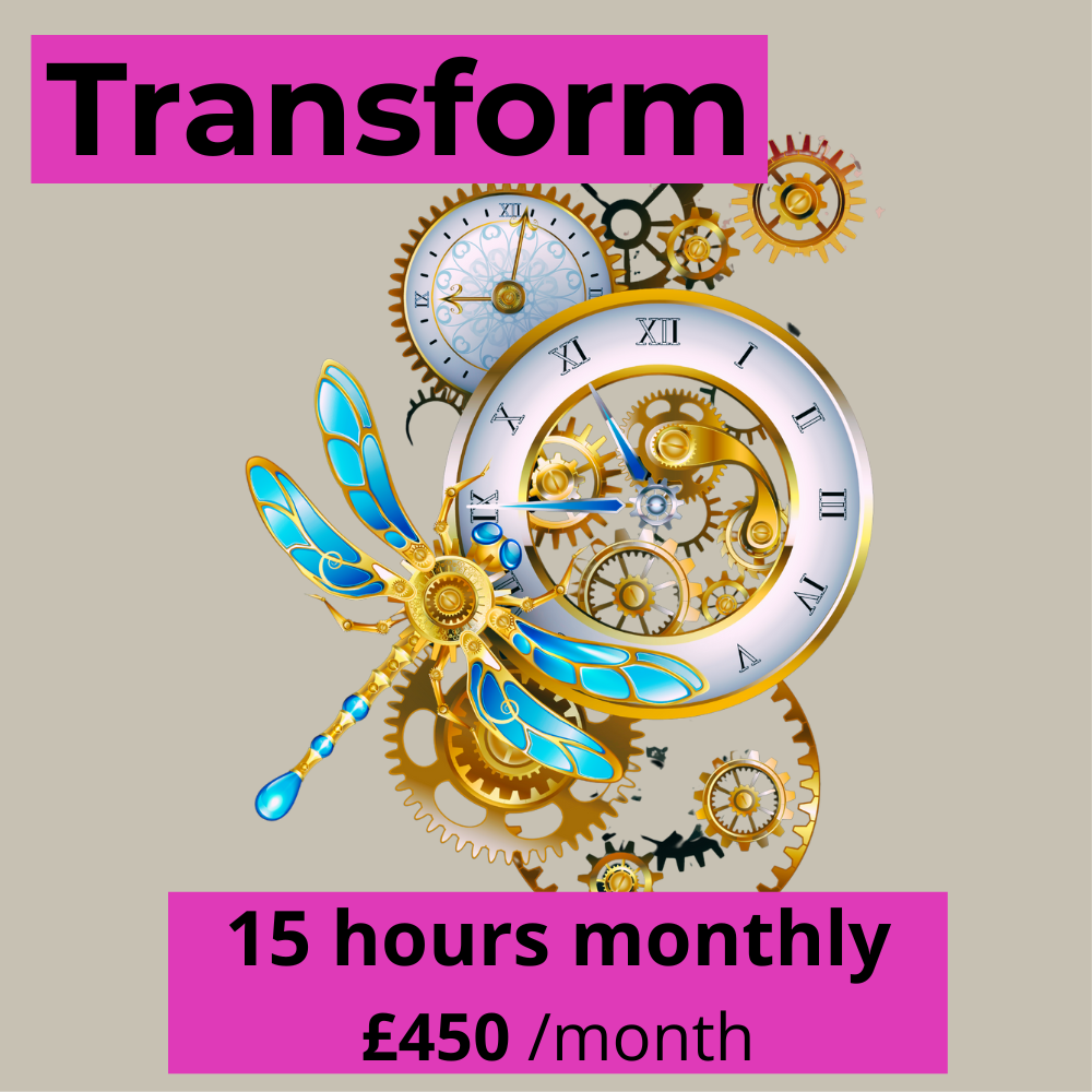 A promotional poster featuring a steampunk-inspired design with clock gears, a clock face, and a dragonfly, advertising a monthly service for 15 hours at £450.