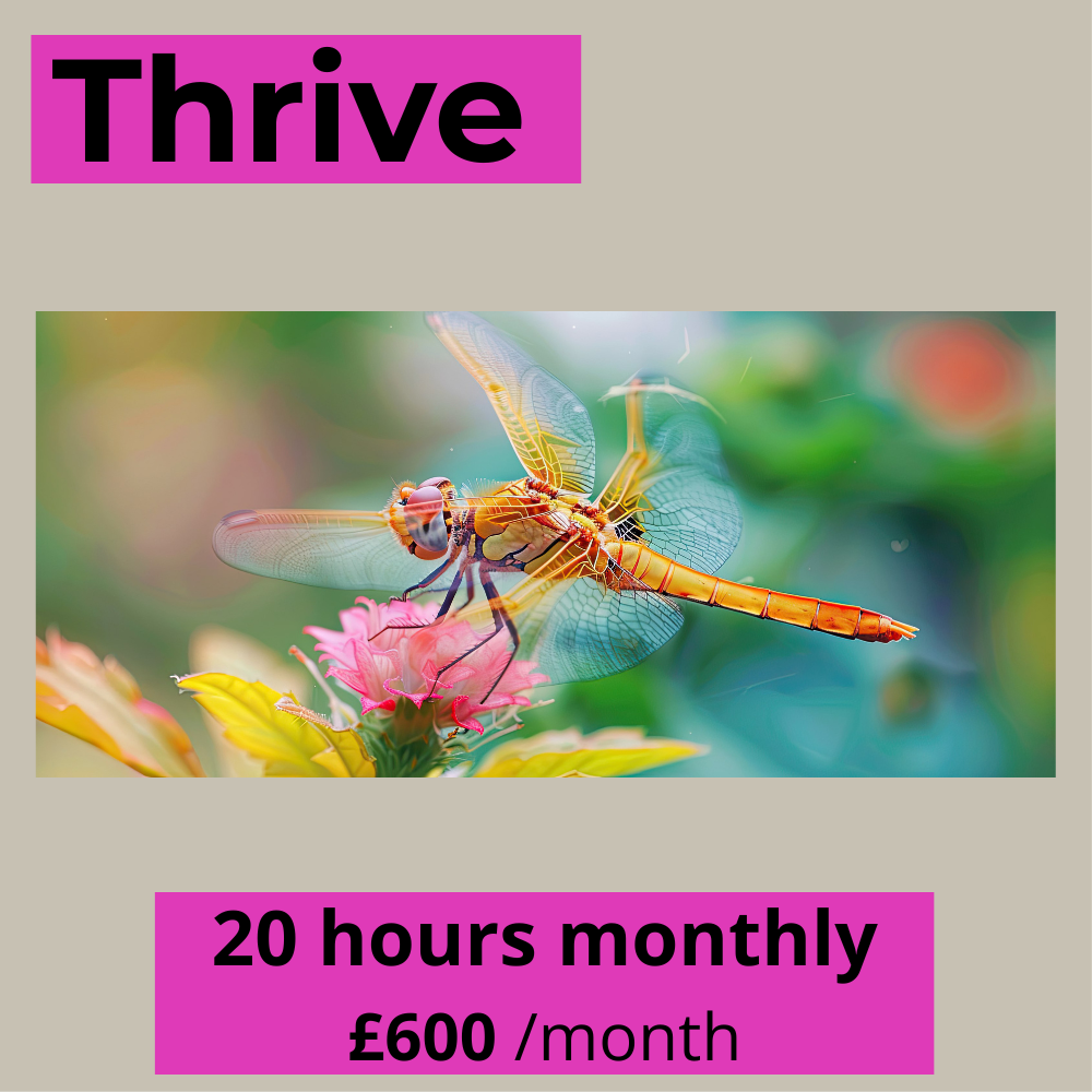 A promotional poster with the word "Thrive" at the top in bold black letters on a purple background. Below it is a colorful close-up of a dragonfly resting on a pink flower. At the bottom, there is a bold purple rectangle with the text "20 hours monthly" and "£600 /month".