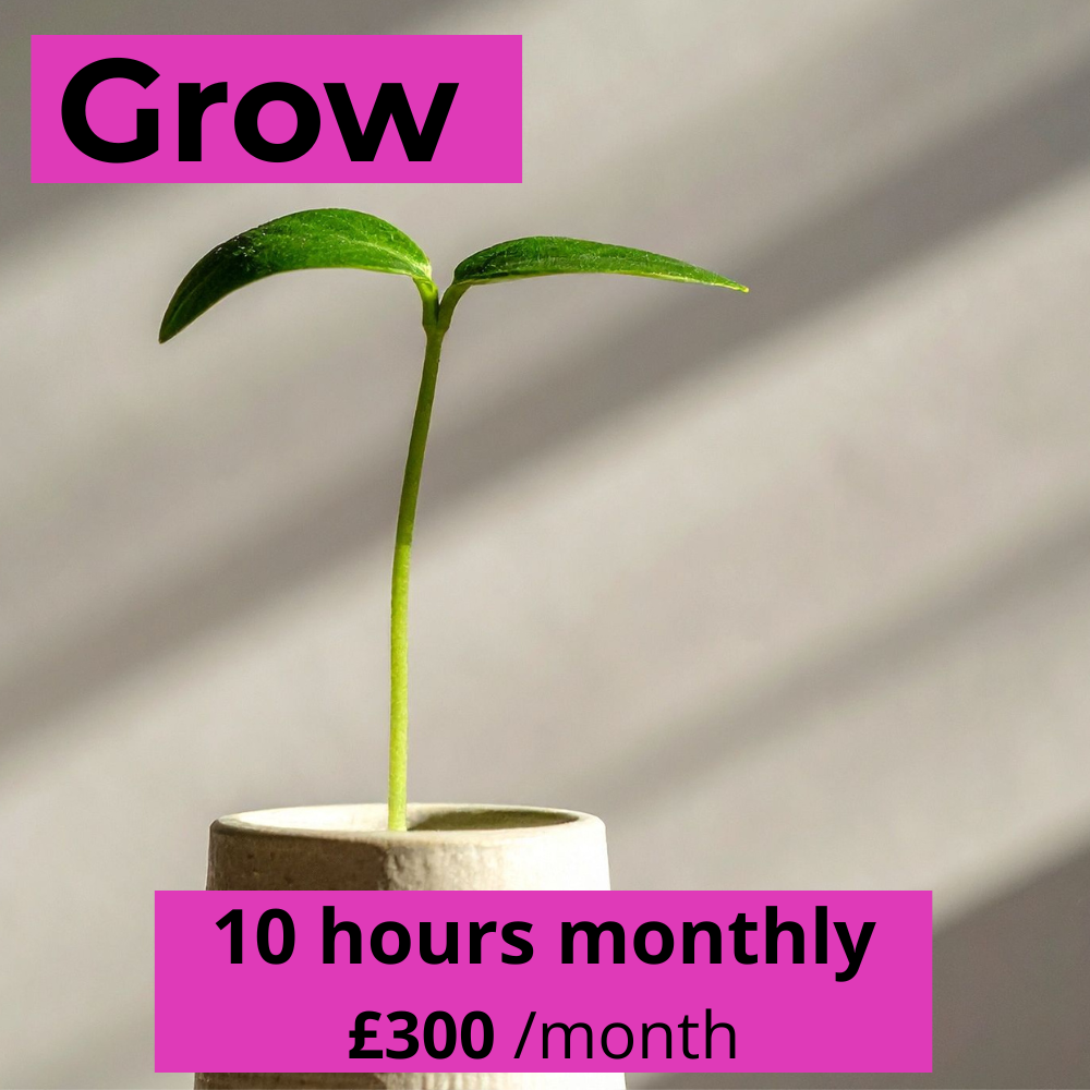 A small green seedling growing in a pot with sunlight casting light and shadow. Text overlays: 'Grow' in the top left corner and '10 hours monthly £300 /month' at the bottom.