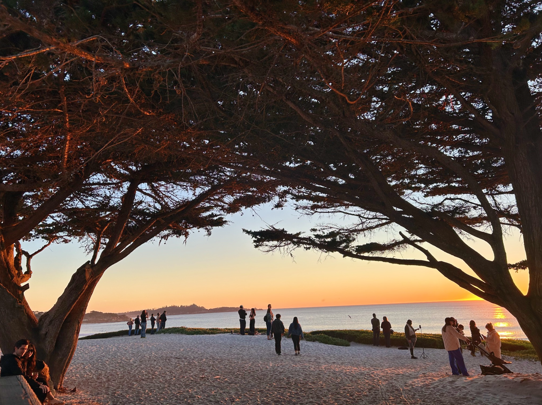 Screenshot 2026-01-14 at 3.09.13 PM.png