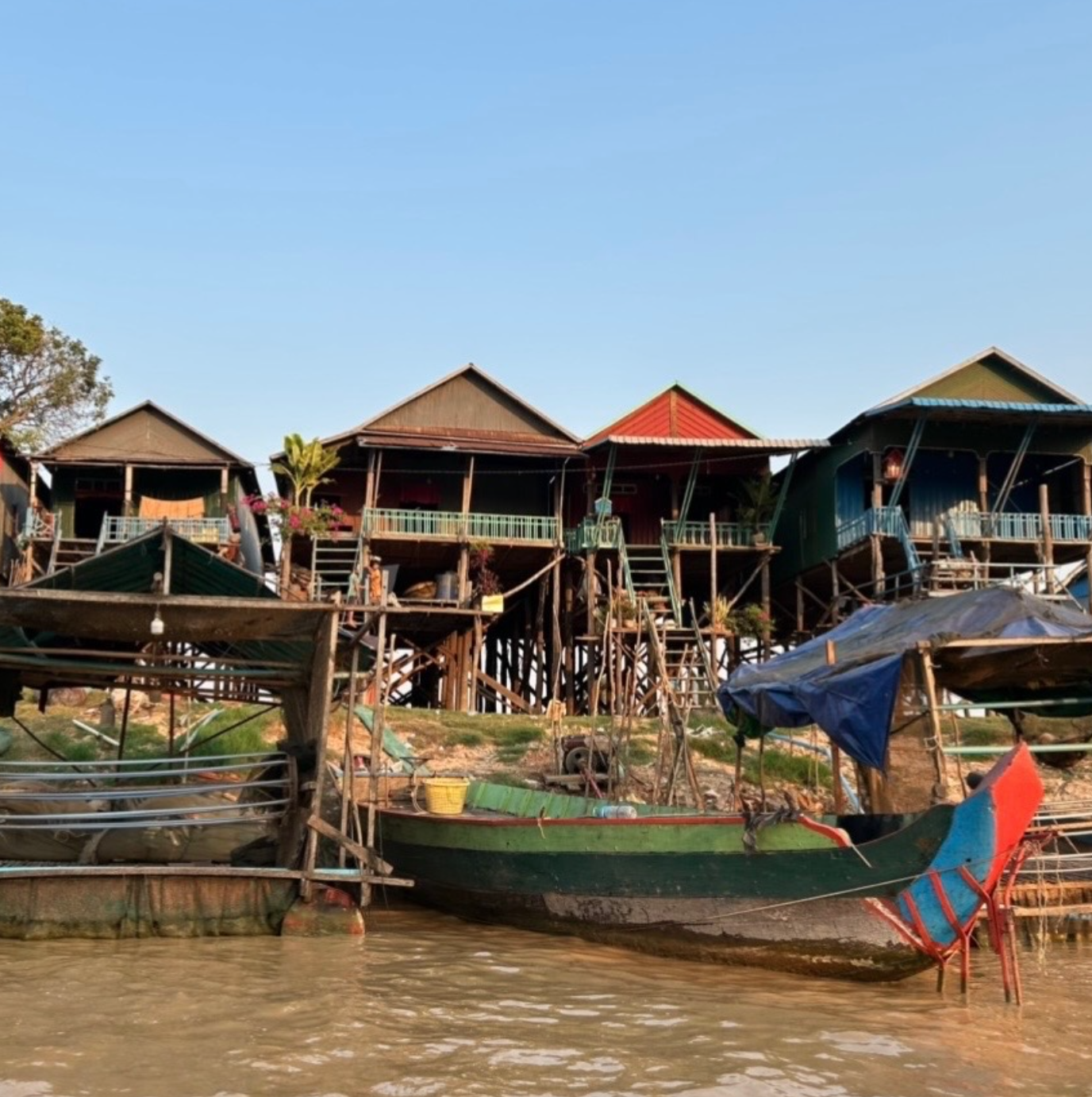 Screenshot 2026-02-14 at 1.01.59 AM.png