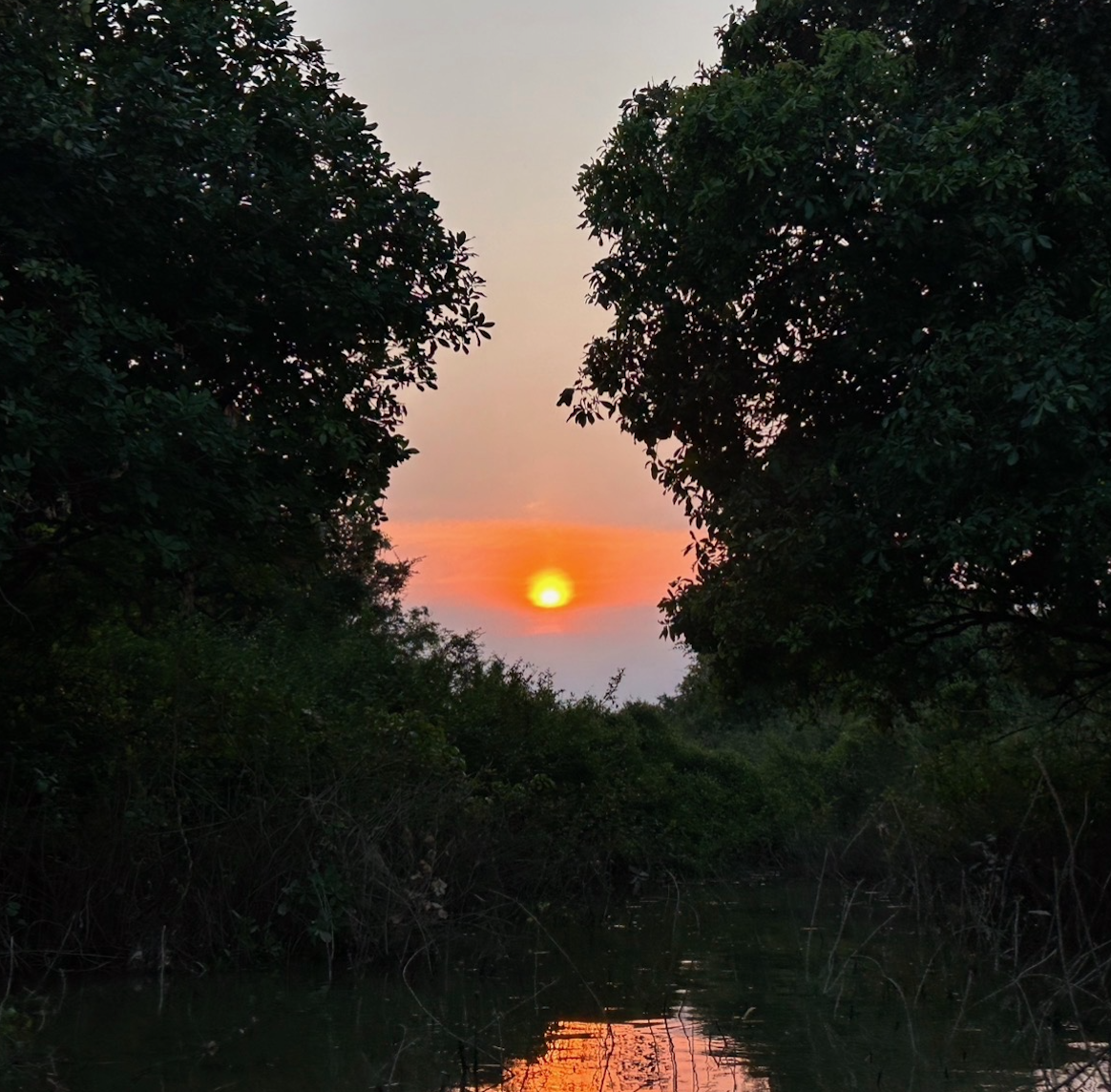 Screenshot 2026-02-14 at 12.56.26 AM.png