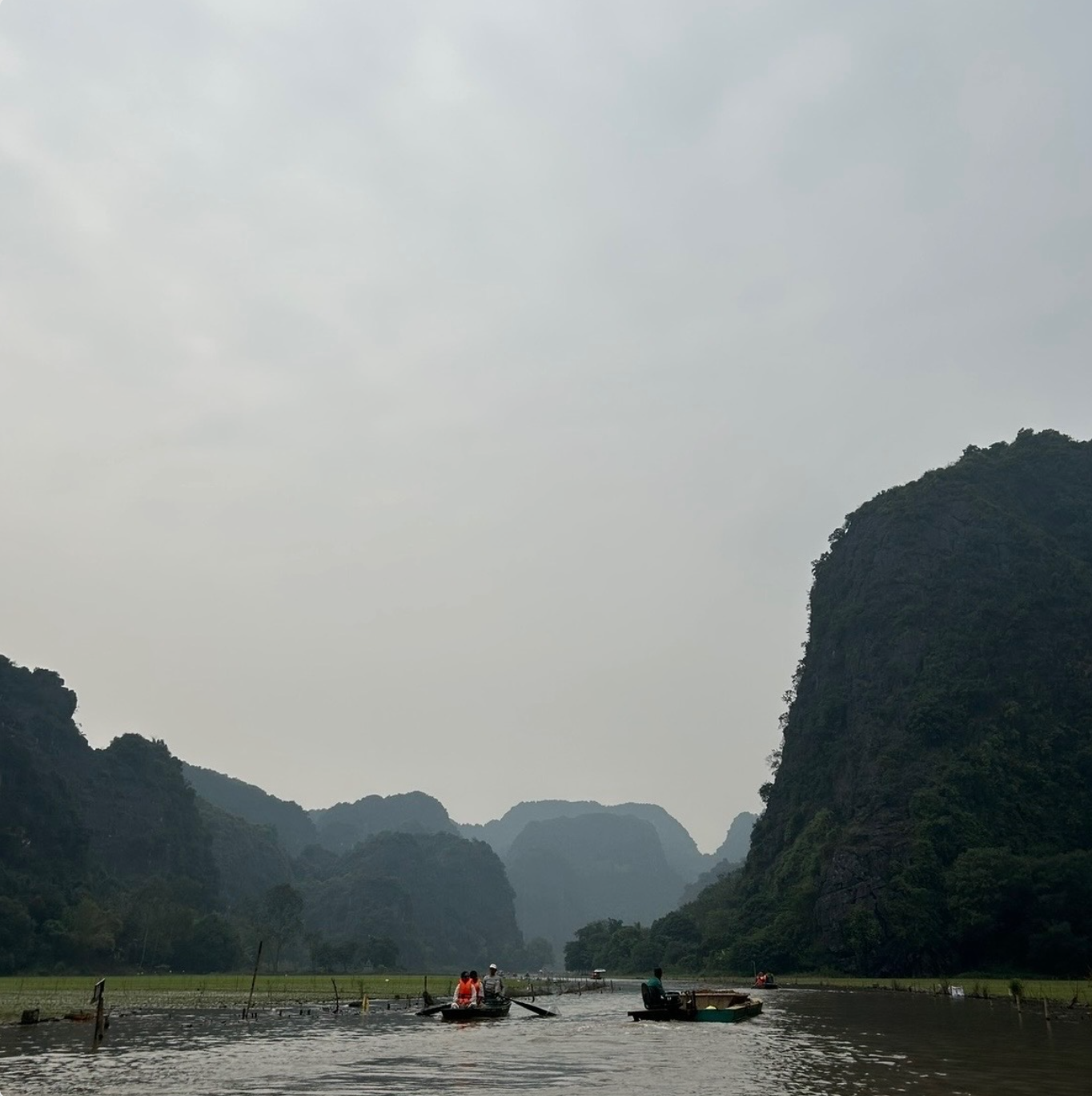 Screenshot 2026-02-14 at 1.01.05 AM.png