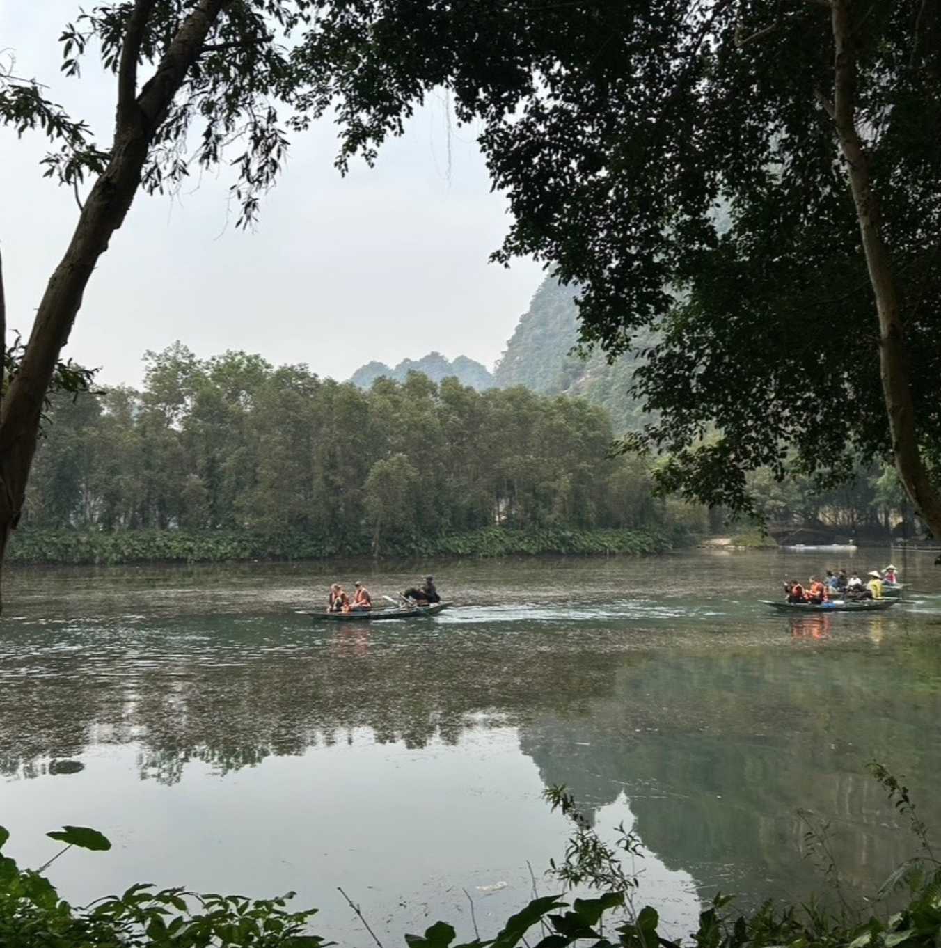 Screenshot 2026-02-14 at 1.01.13 AM.png