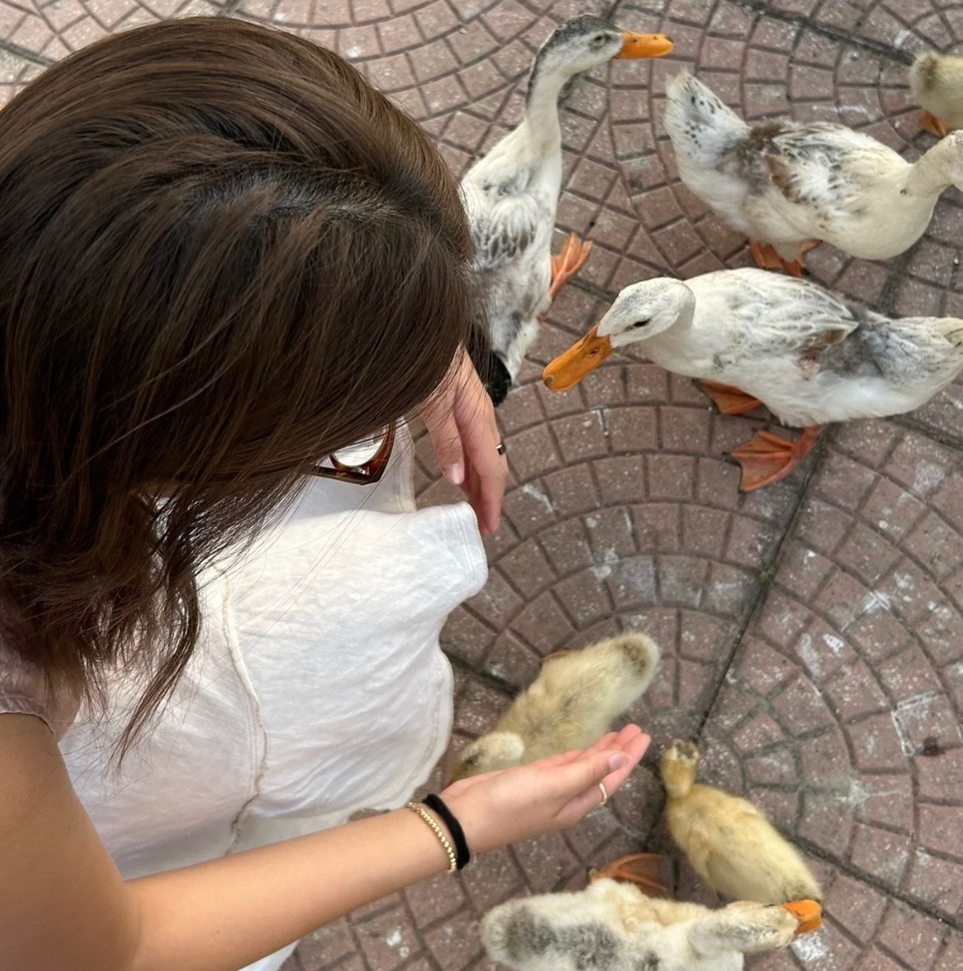 Screenshot 2026-02-14 at 1.00.33 AM.png