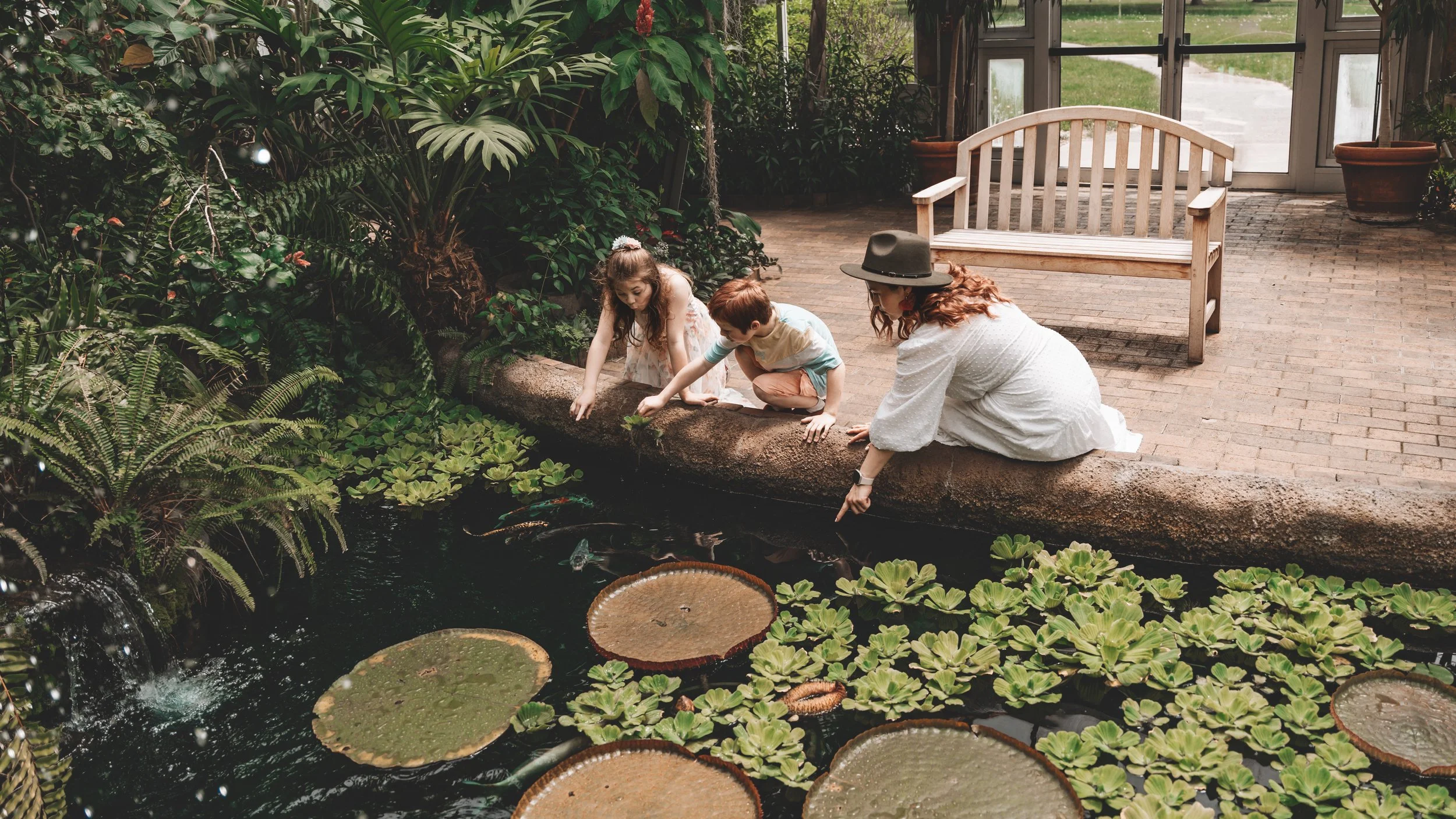 Family and Couples Portraits