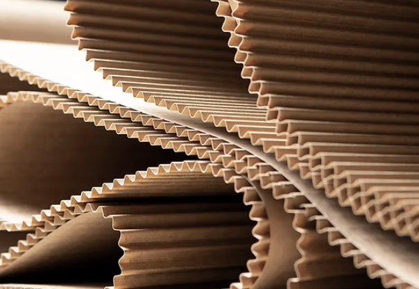 Structures of Memory