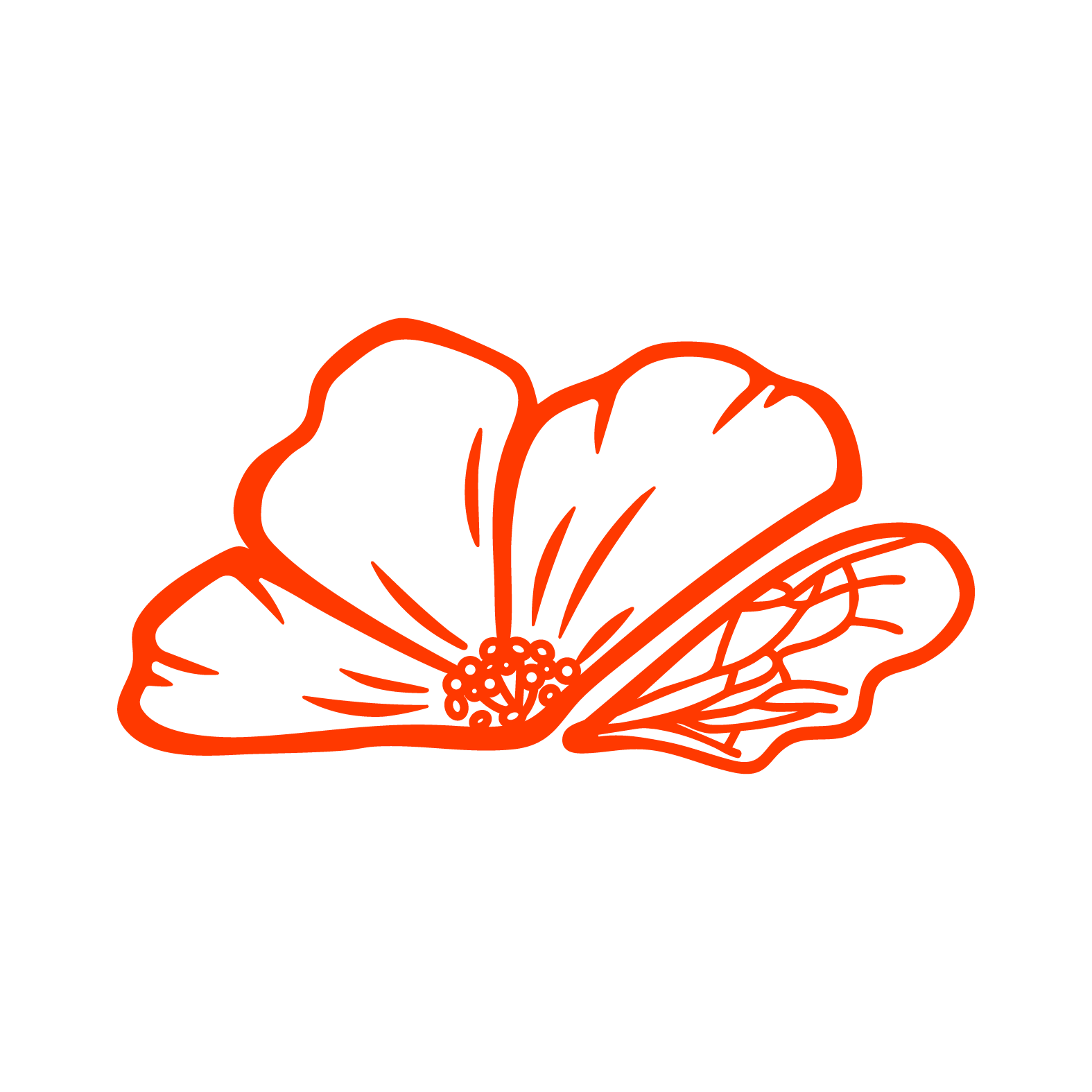 SamWice_WildBeeFlorals_Branding.png