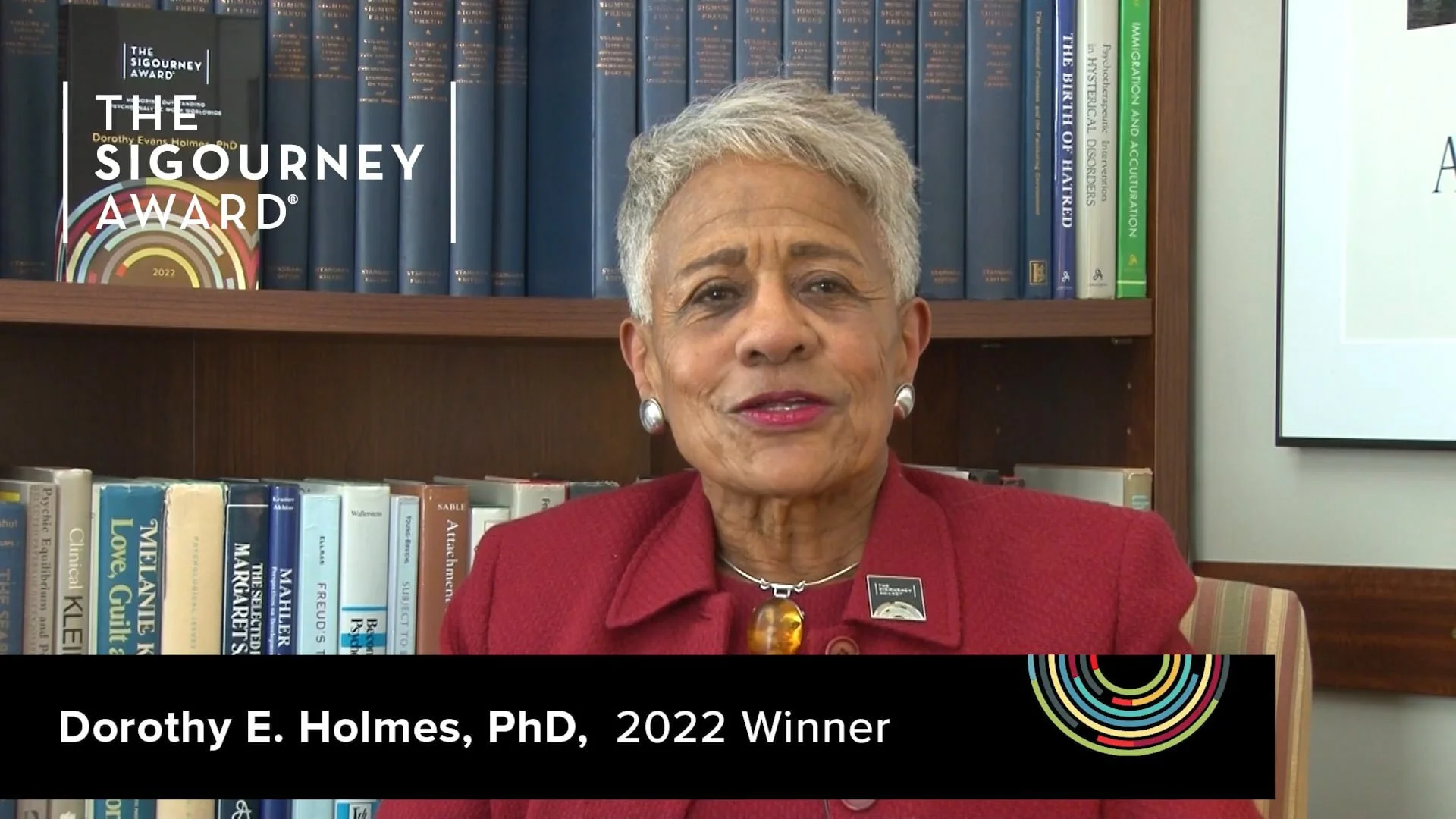 Illuminating Therapeutic and Institutional Approaches to Race, Equity & Social Justice