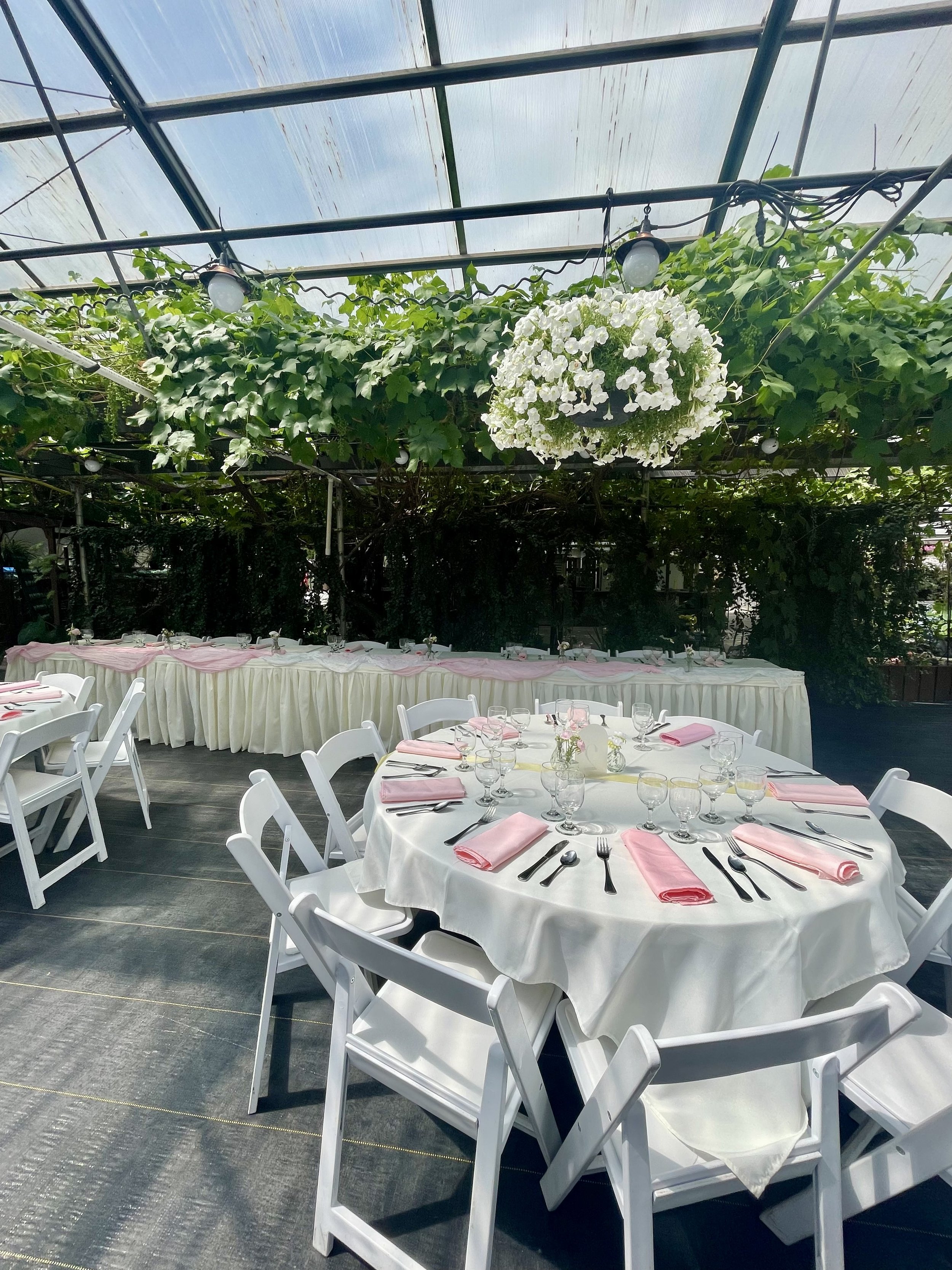Banquet table set for an event in a greenhouse with green foliage and a hanging flower decoration.