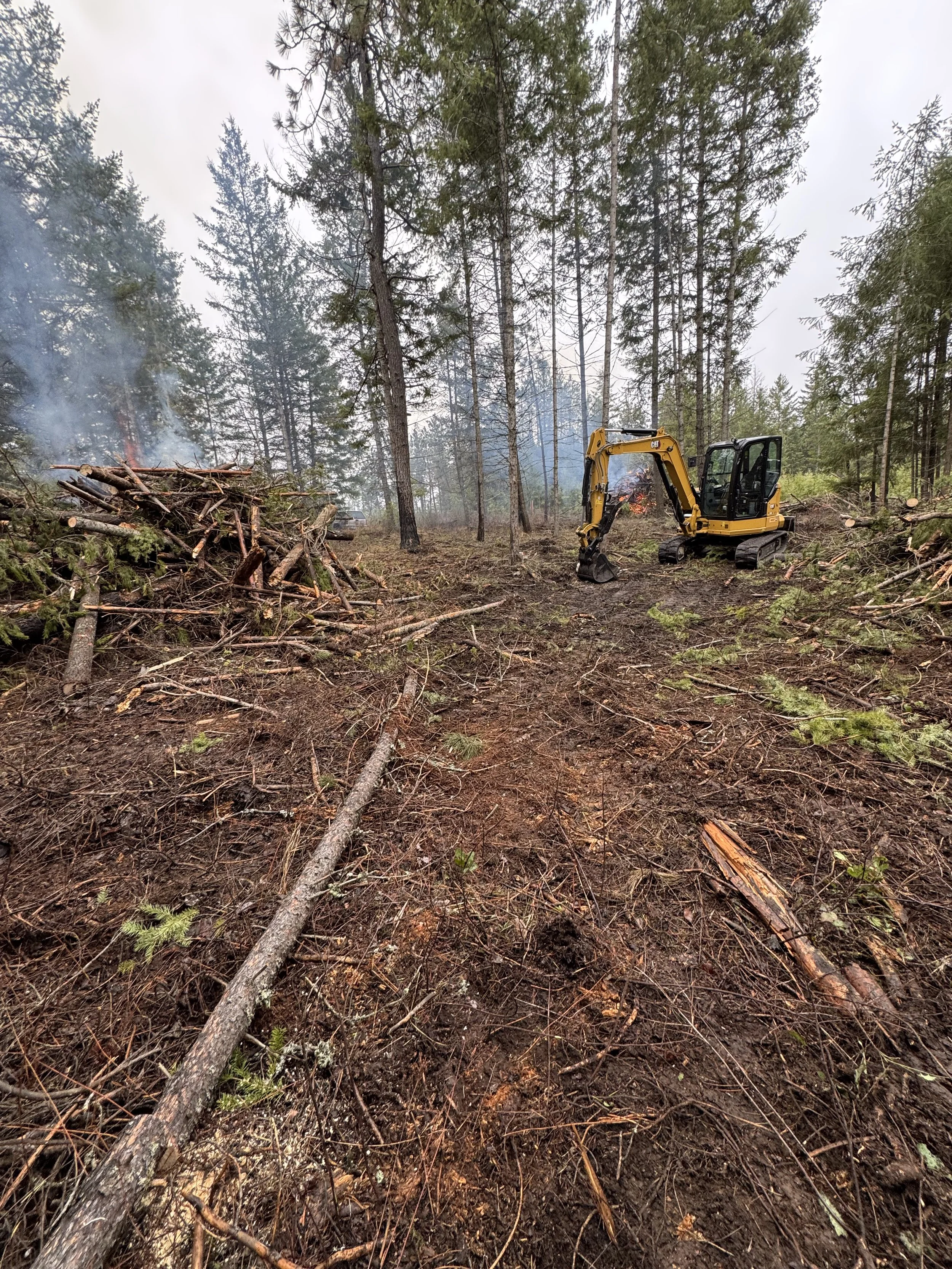 A forest clearing where a small yellow excavator is removing fallen branches and trees, with smoke rising in the background and surrounded by tall pine trees.