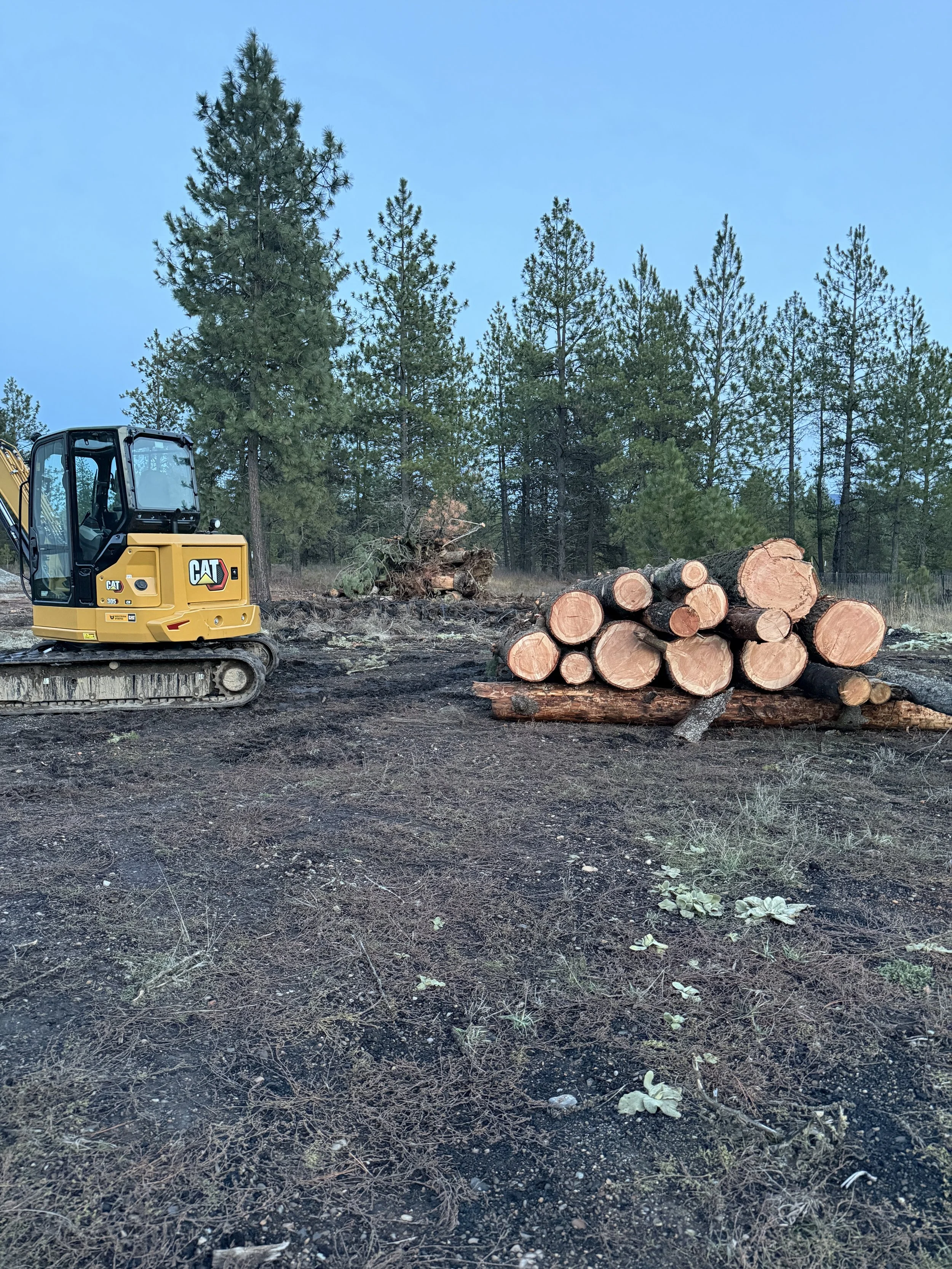 A small yellow Cat excavator next to a pile of cut logs in a forest clearing with green trees and blue sky in the background.