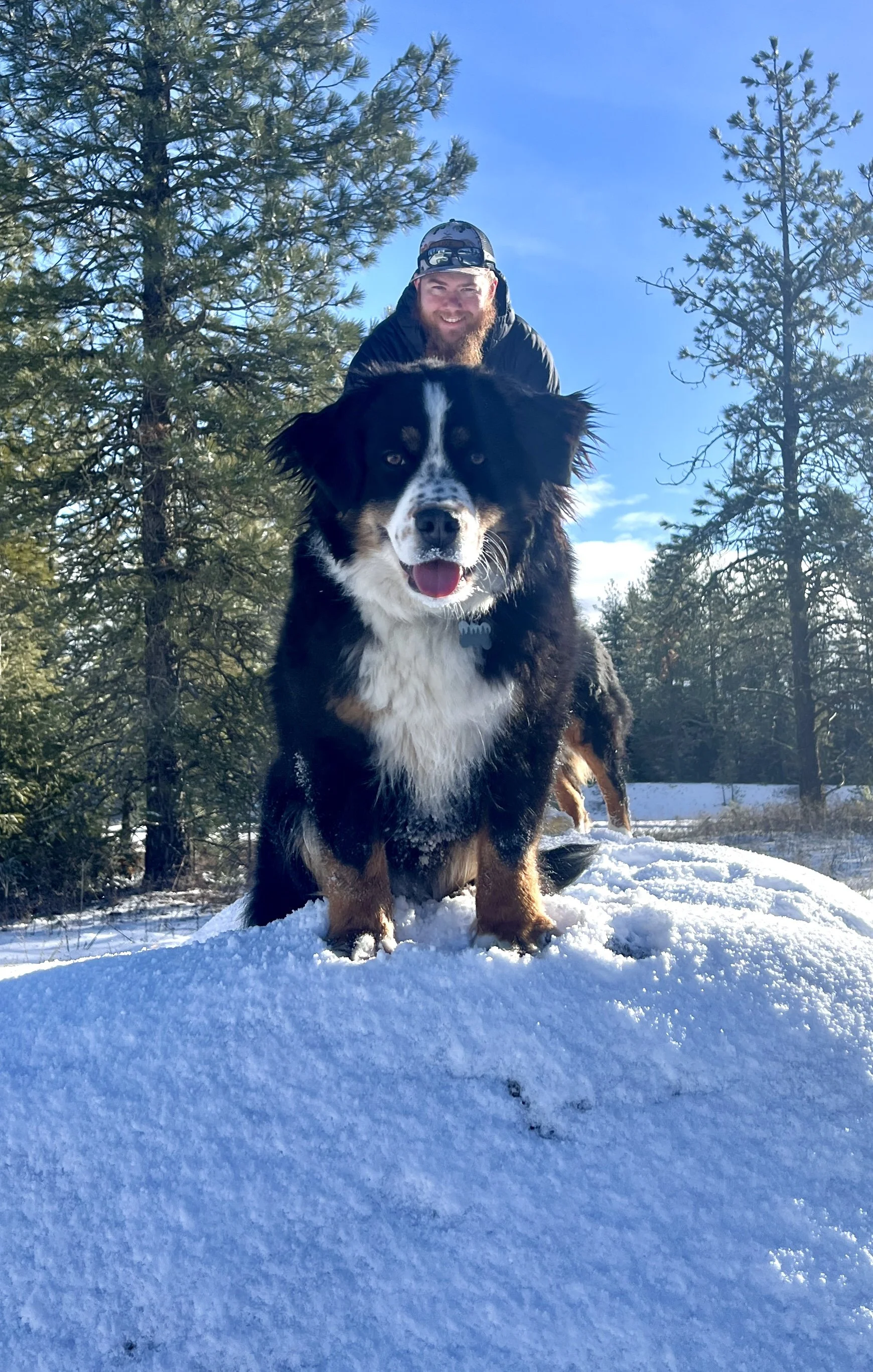 A man with a beard smiling and wearing a hat, with a black, white, and brown dog sitting on snow-covered ground in a forested area with tall trees and a clear blue sky.