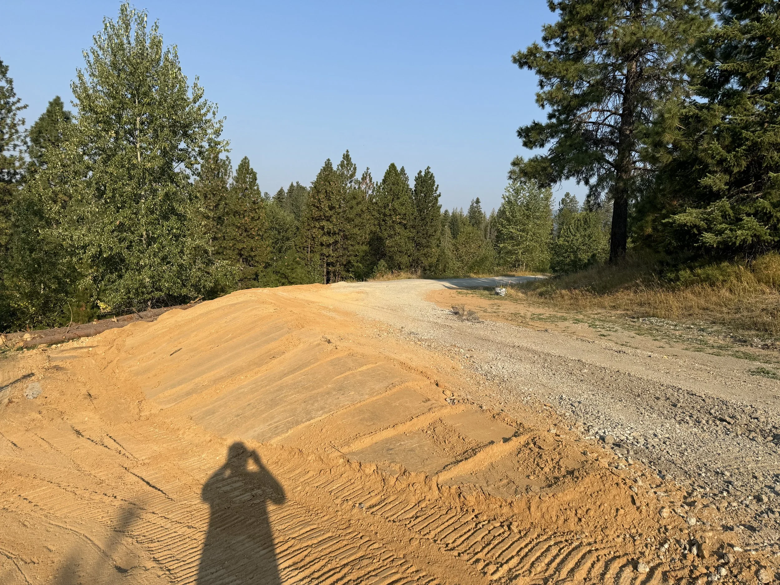 Unpaved dirt road in a forested area with green trees on both sides under a clear blue sky, and a person taking a photo visible as a shadow in the foreground.