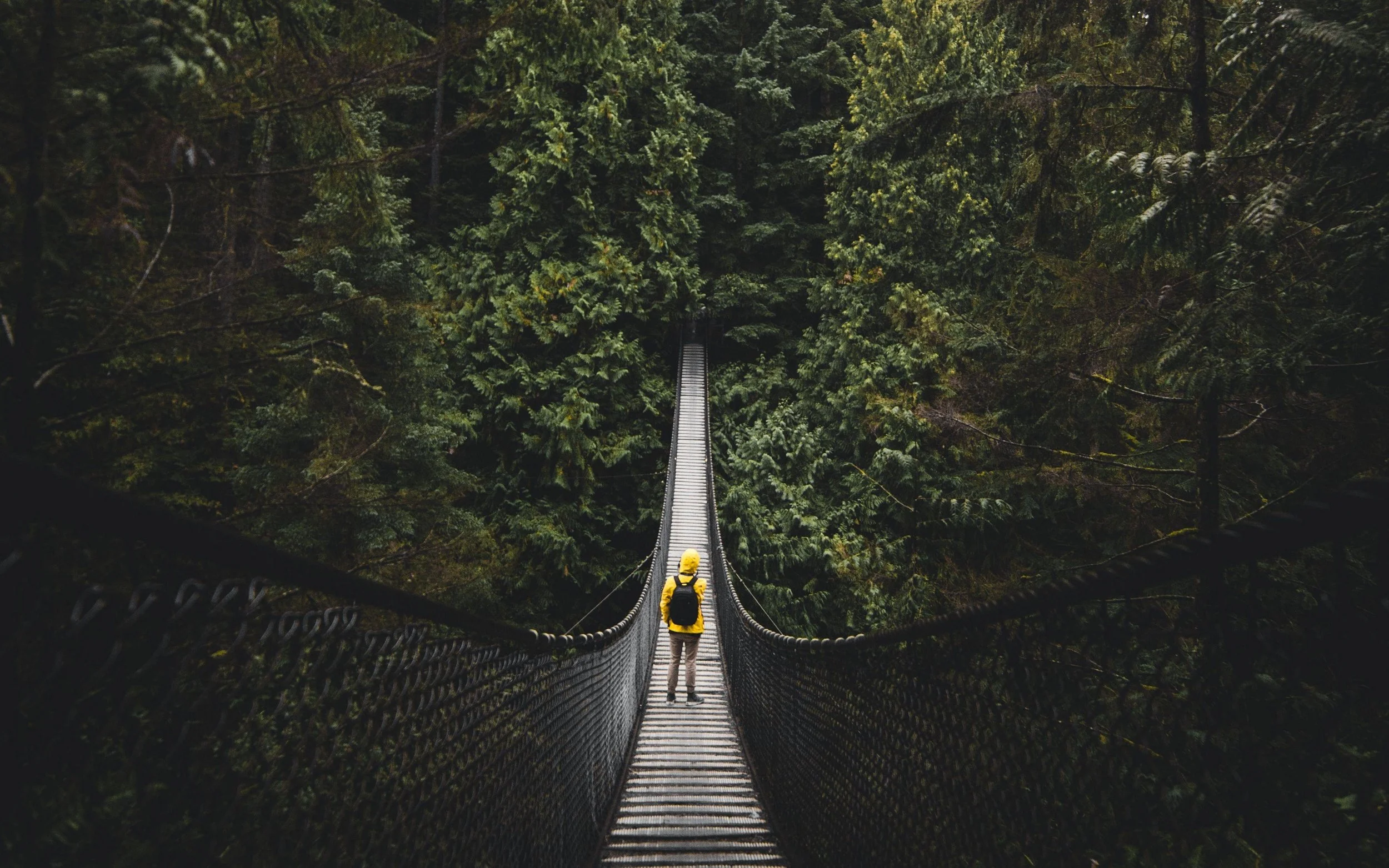 Person with yellow backpack and hoodie walking on a suspension bridge in a dense forest.