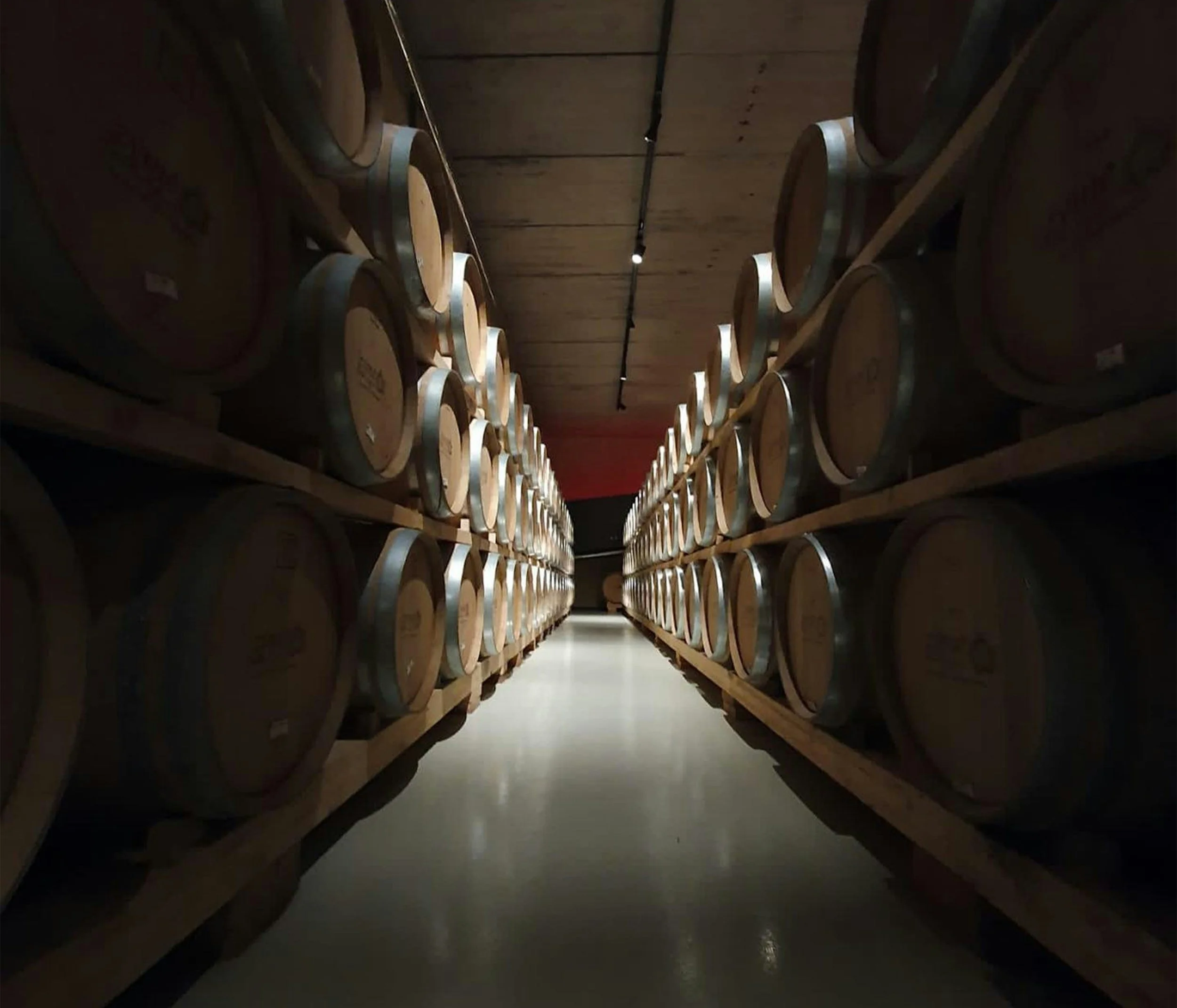 Wine barrels stored on wooden racks in a wine cellar with dim lighting.
