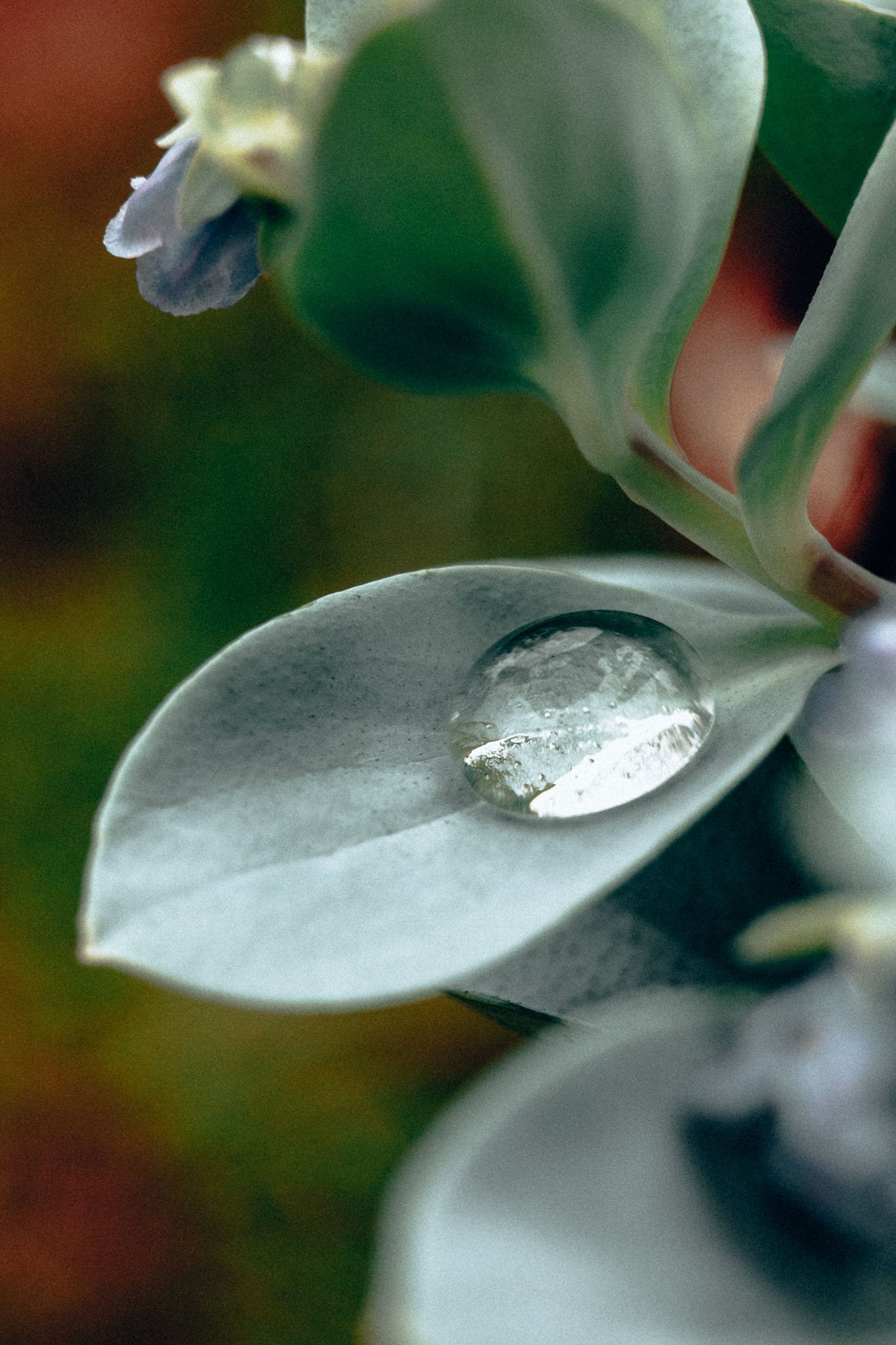 Lifestyle batch 2-2.jpg