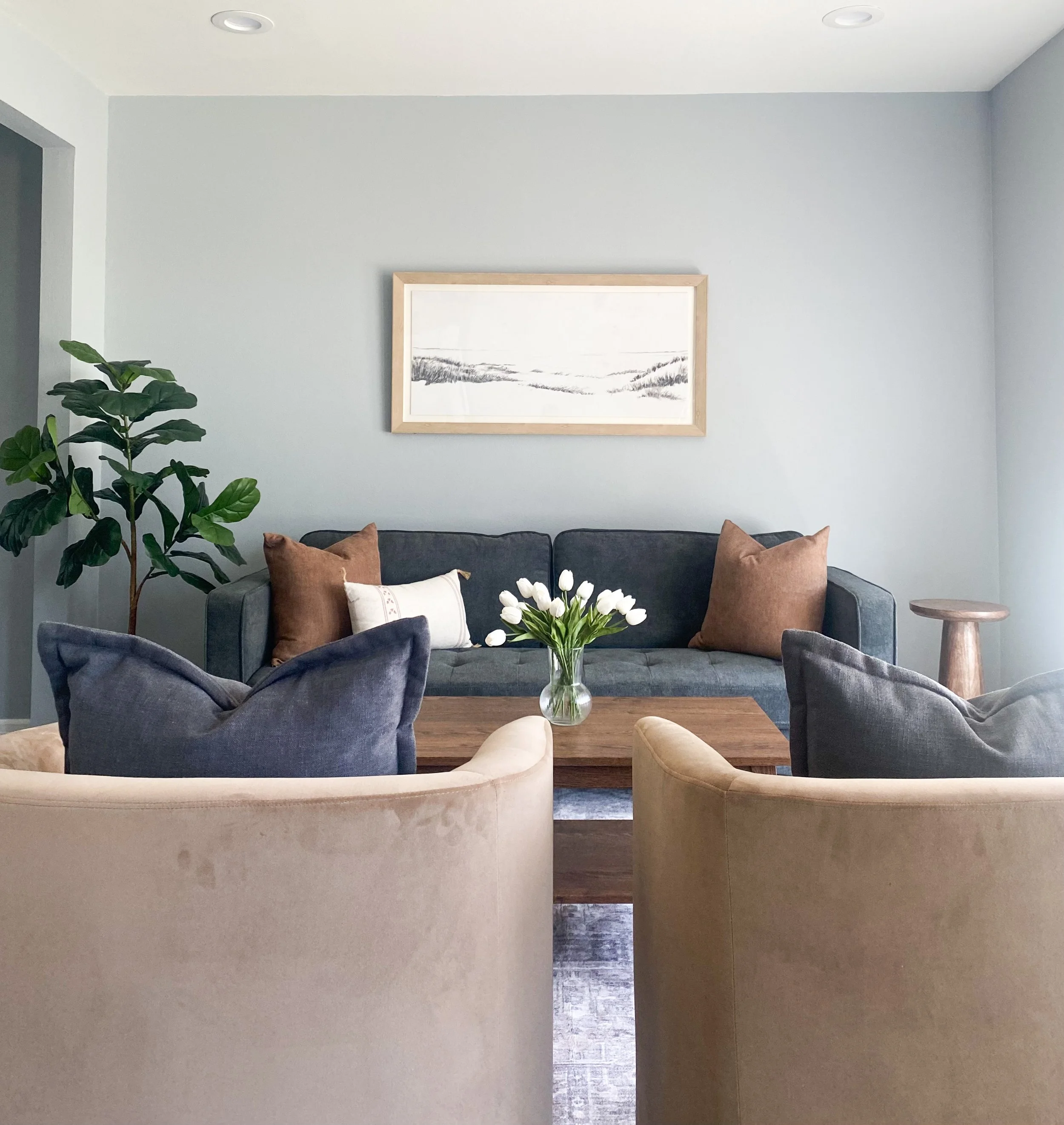Living room with beige armchairs, a dark gray sofa with brown and white pillows, a wood coffee table with a vase of white tulips, a large green potted plant, and a framed landscape picture on a light blue wall.