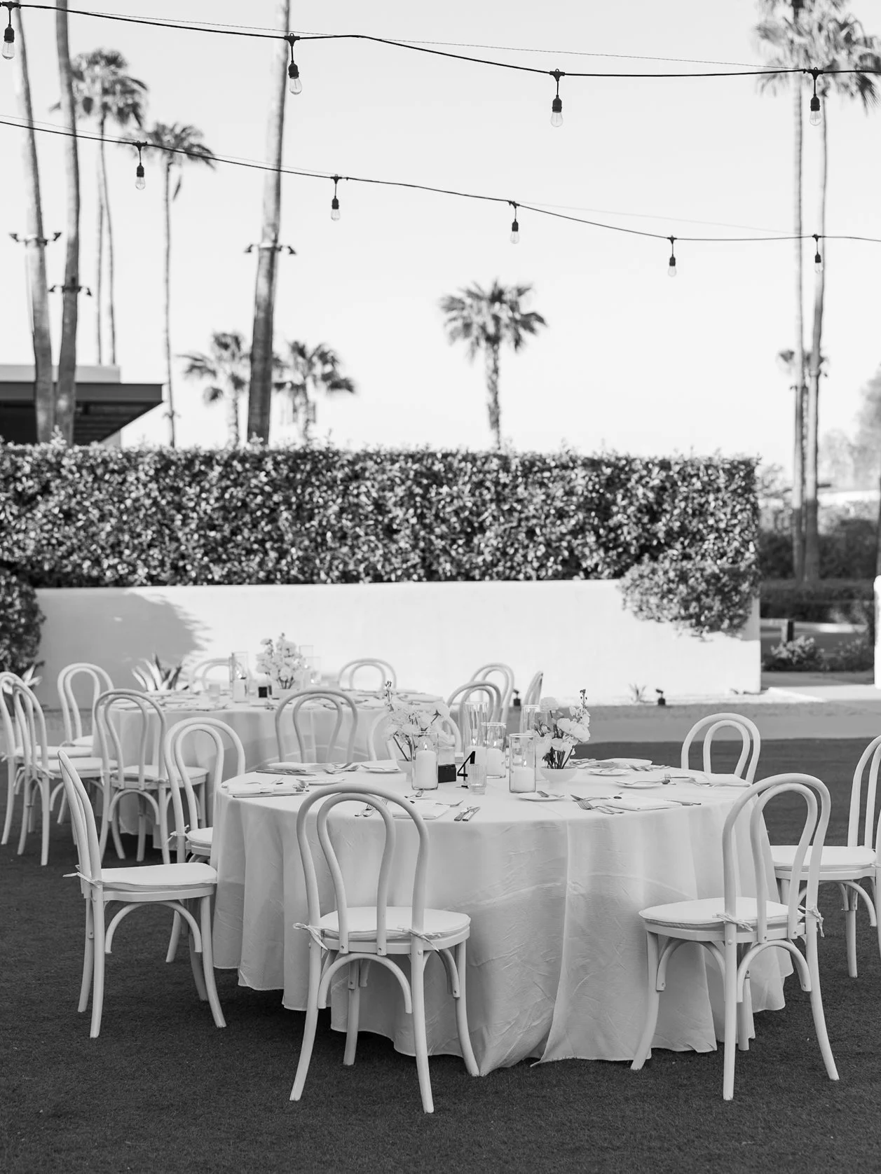 Outdoor event with round tables covered in white tablecloths, decorated with vases of flowers, under string lights, surrounded by white bentwood chairs with curved backs, palm trees in the background.