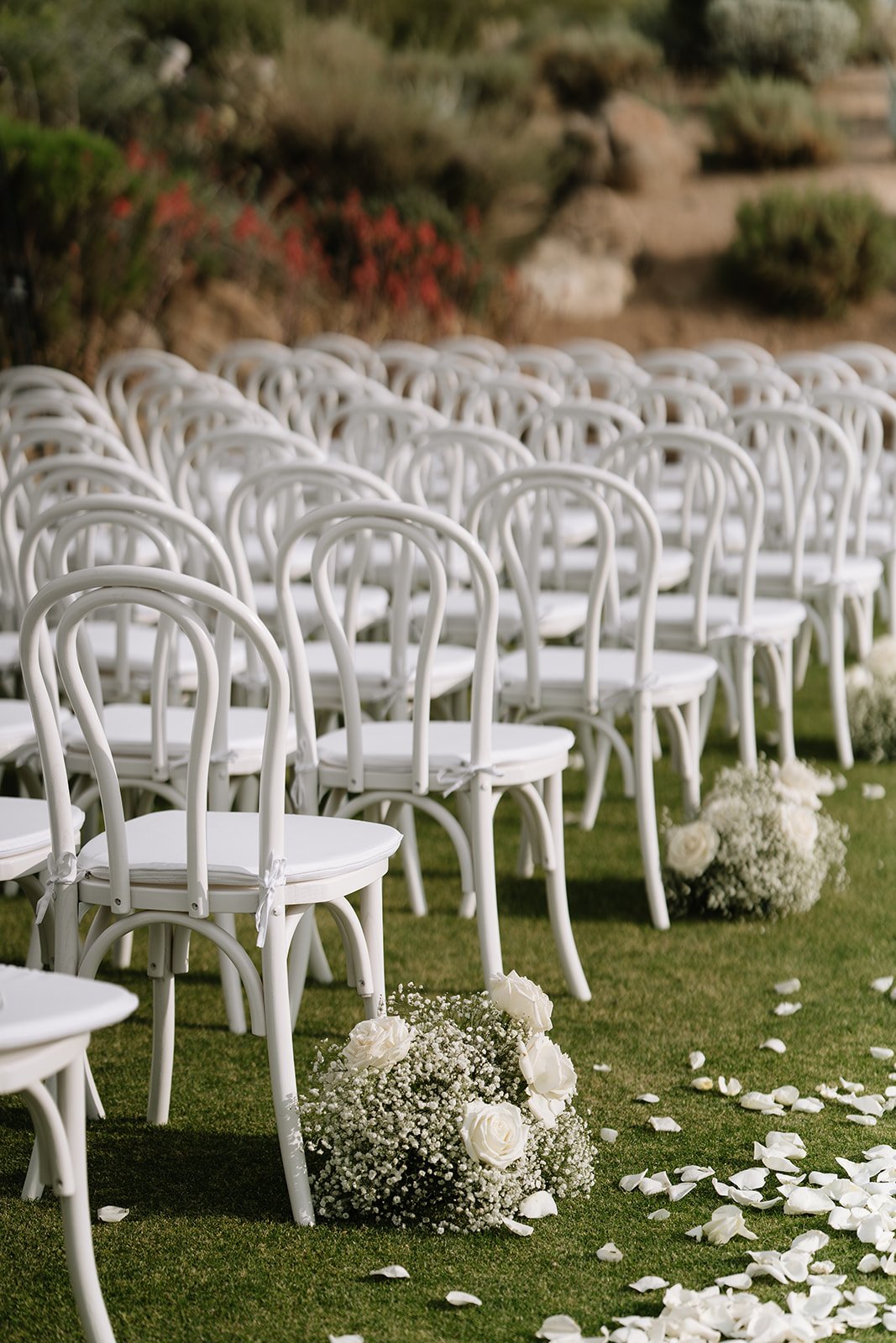 Several rows of white bentwood chairs set up outdoors for a wedding ceremony with floral arrangements and scattered rose petals on the grass.