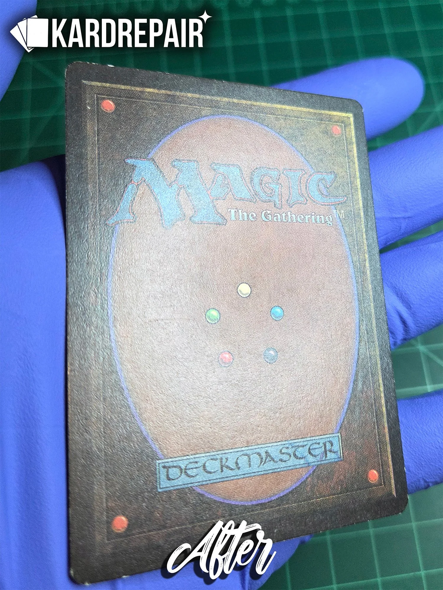 Beta Bayou Back After.jpg