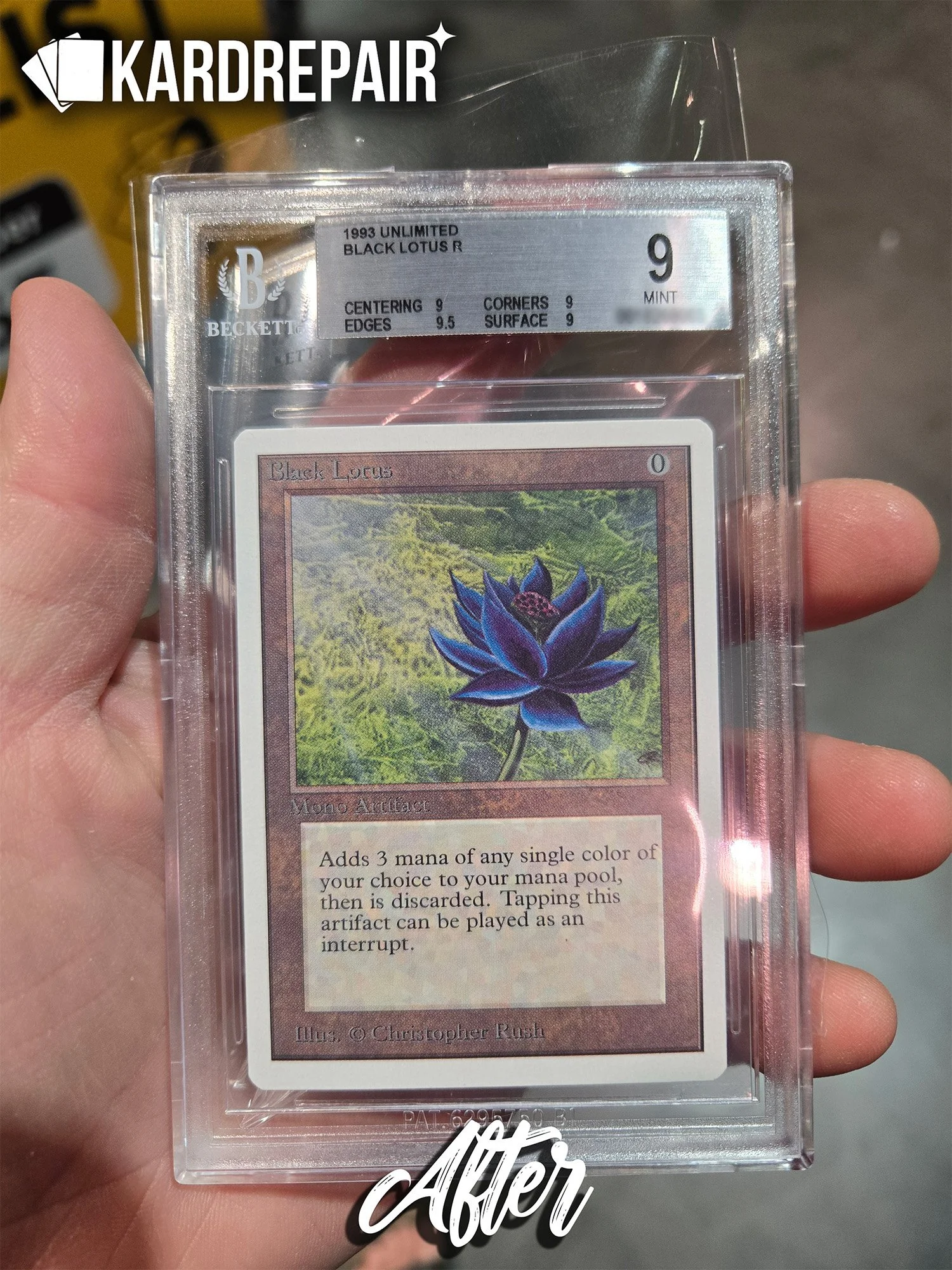 Unlimited Lotus Front After.jpg