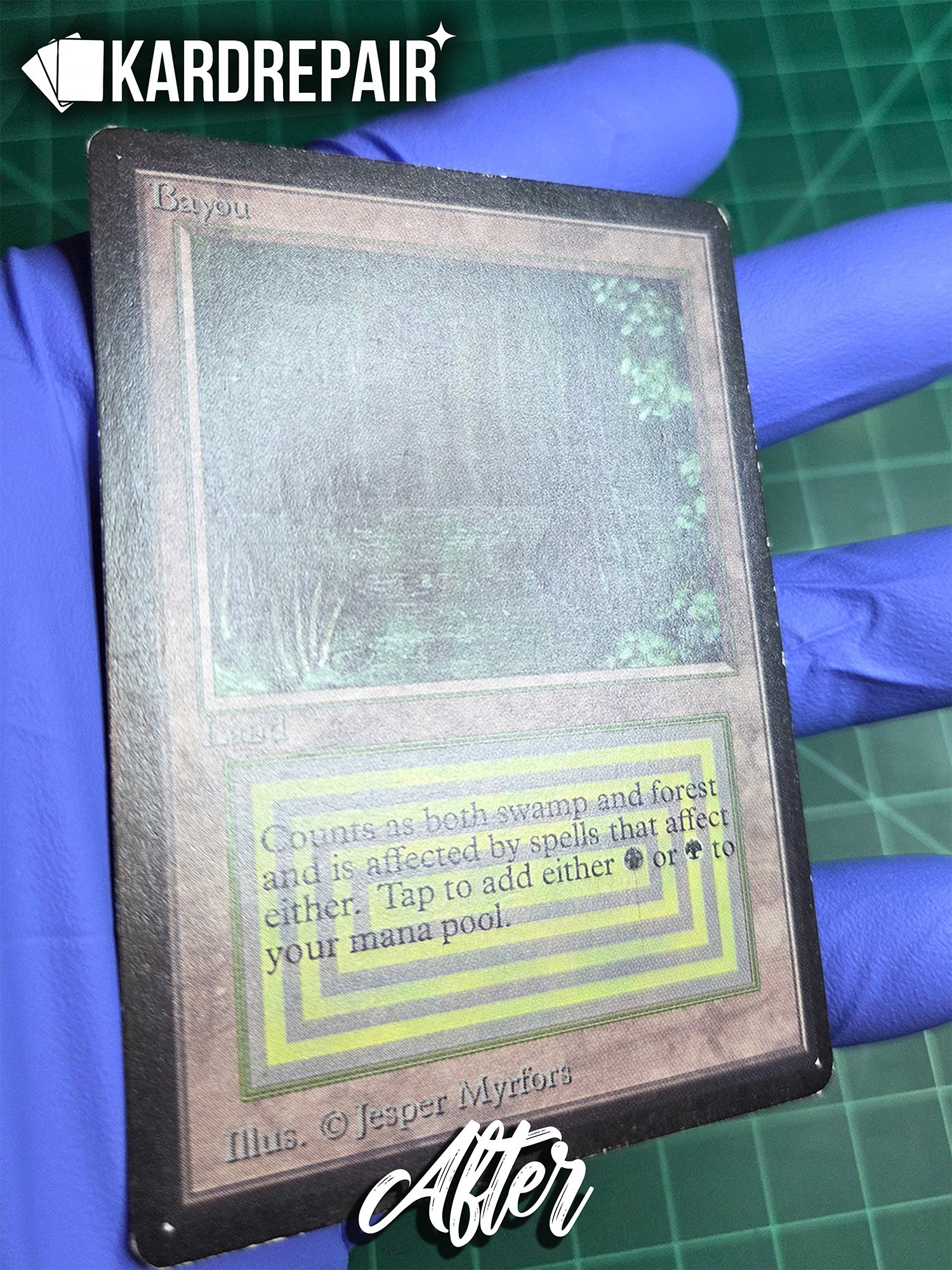 Beta Bayou Front After.jpg