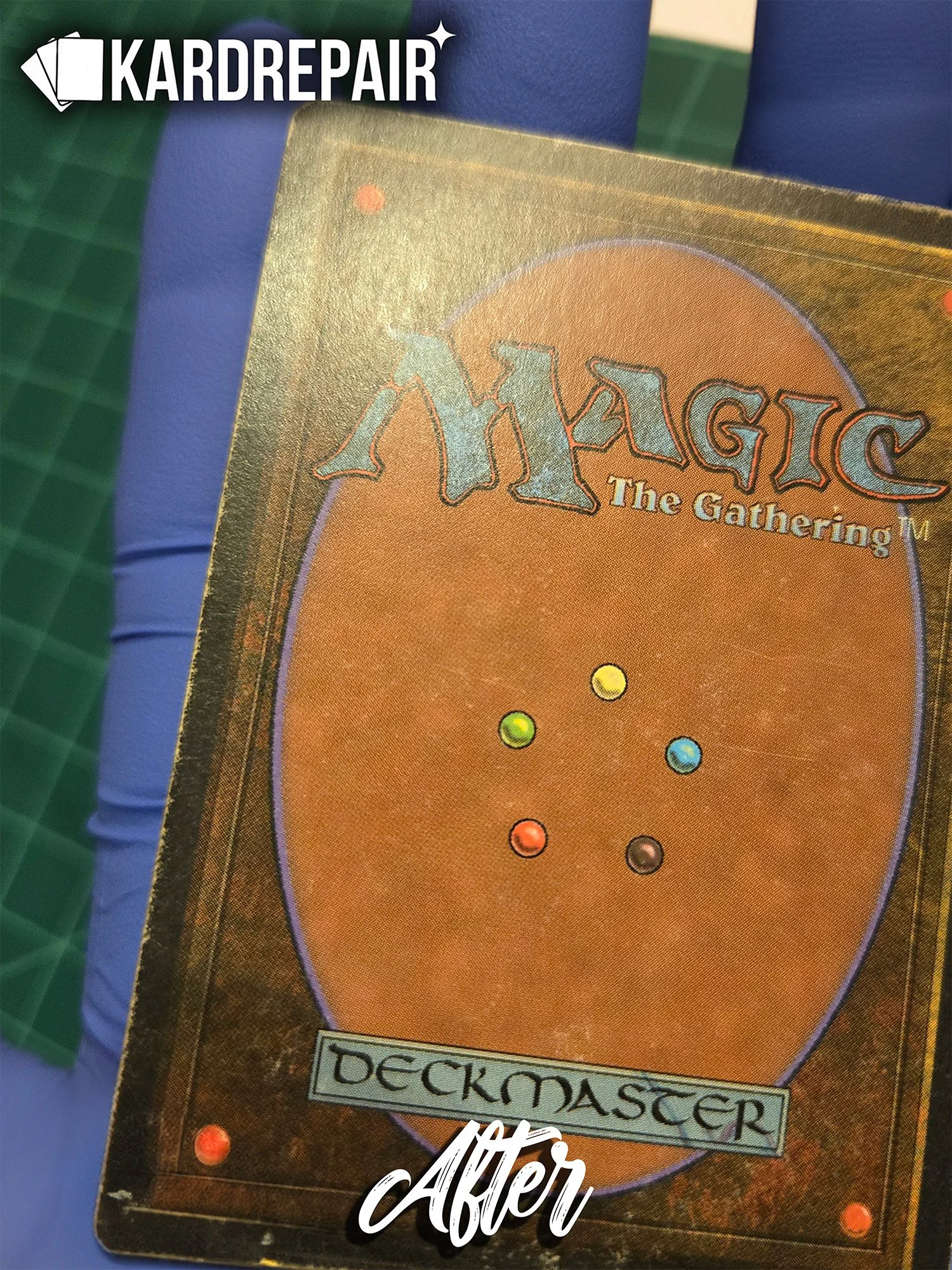 Alpha LoA Back After.jpg