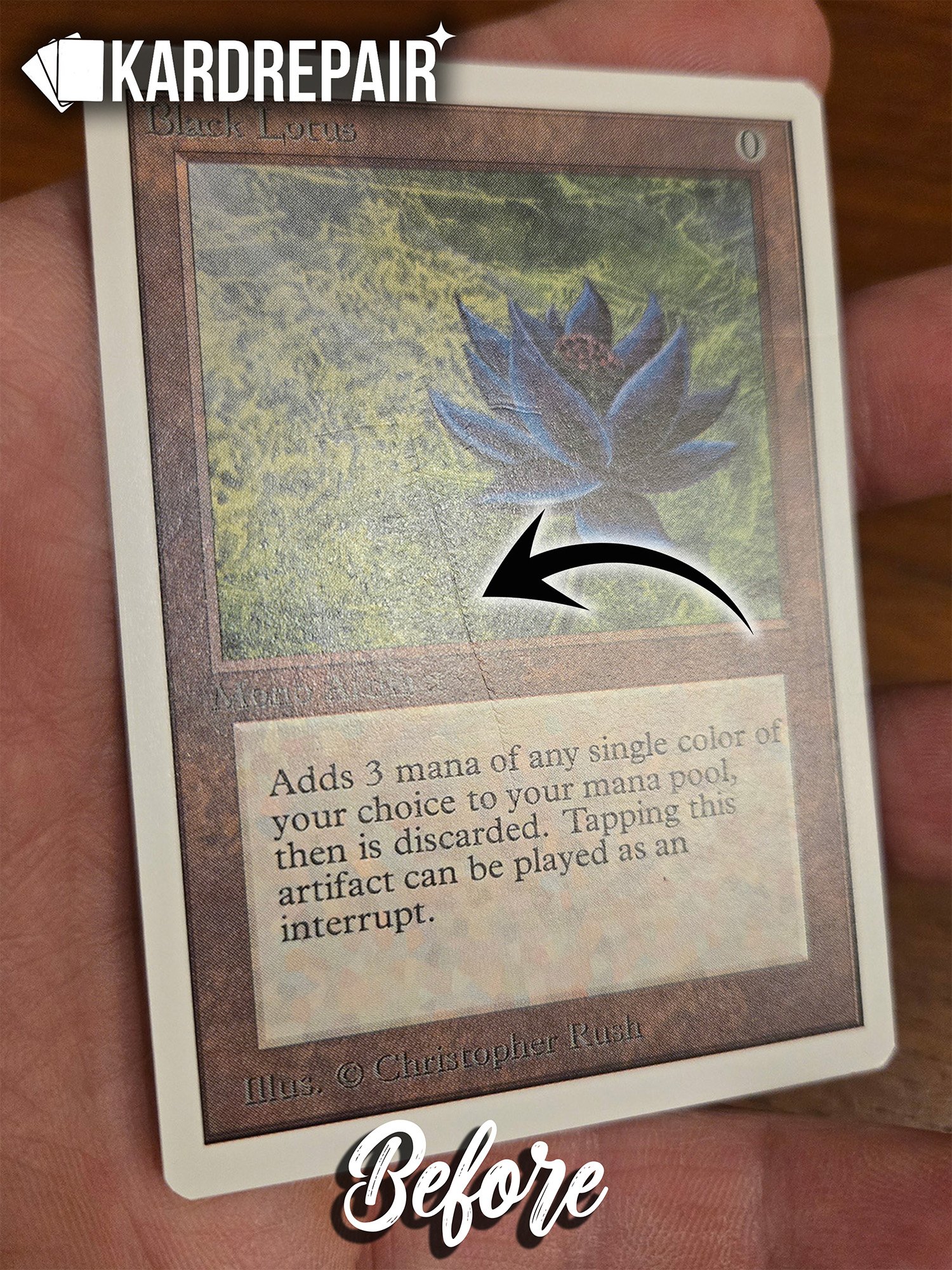 Unlimited Lotus Front Before.jpg