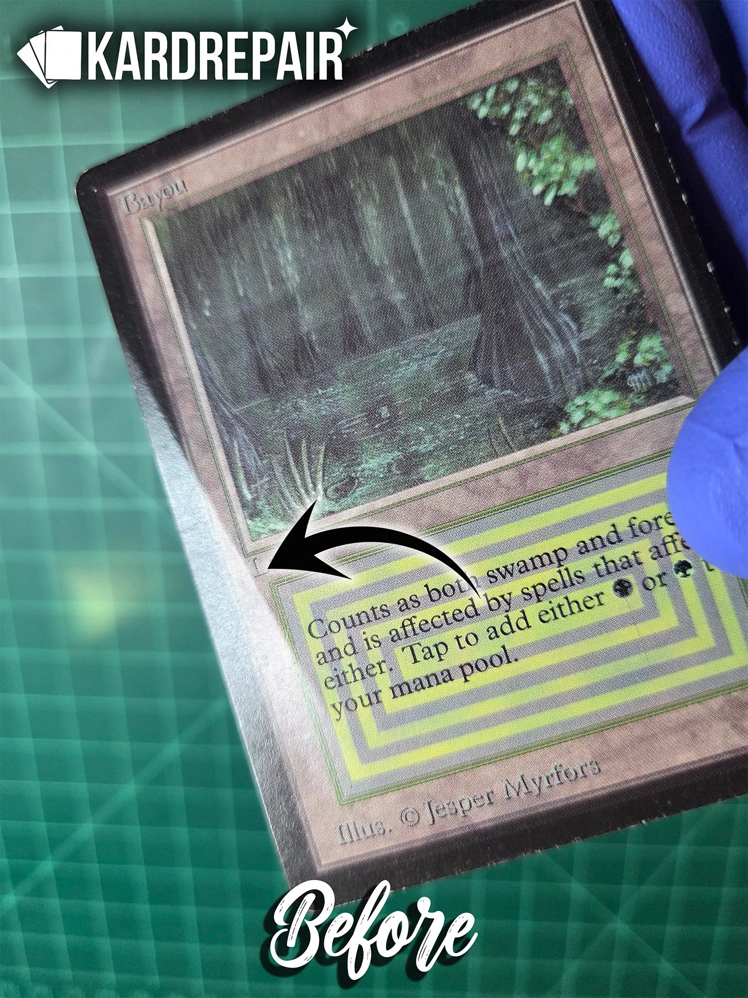 Beta Bayou Front Before.jpg