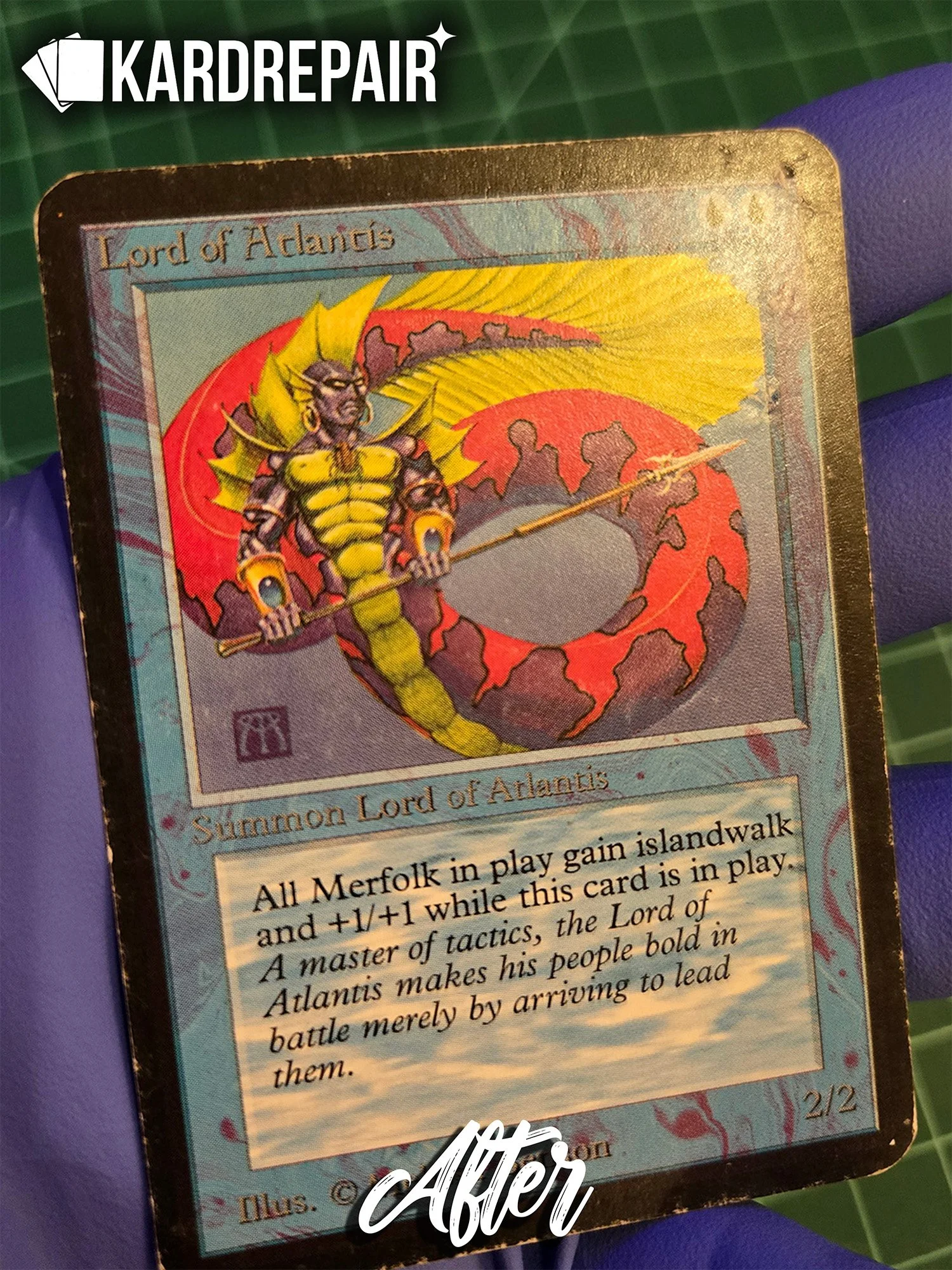 Alpha LoA Front After.jpg