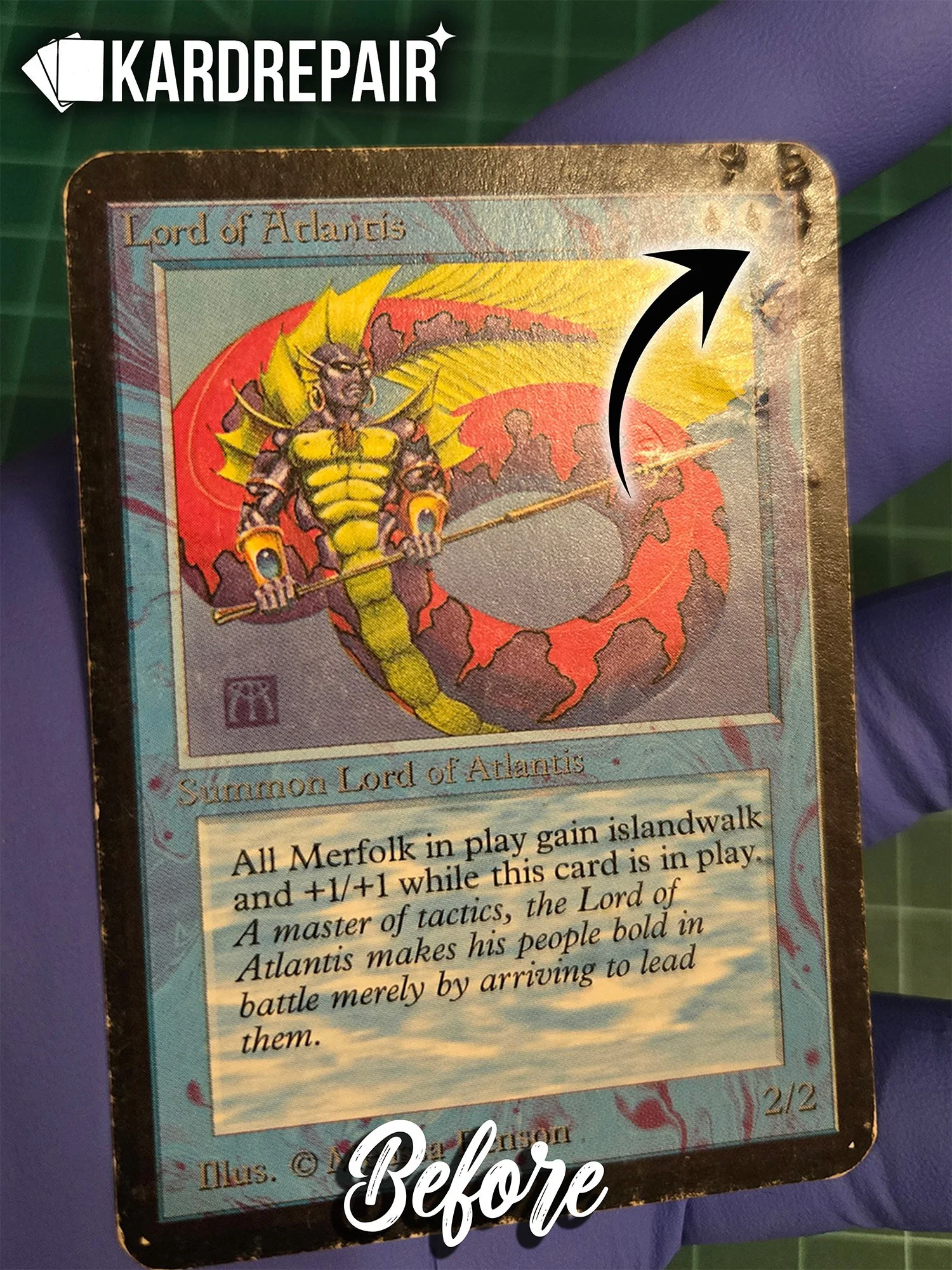 Alpha LoA Front Before.jpg