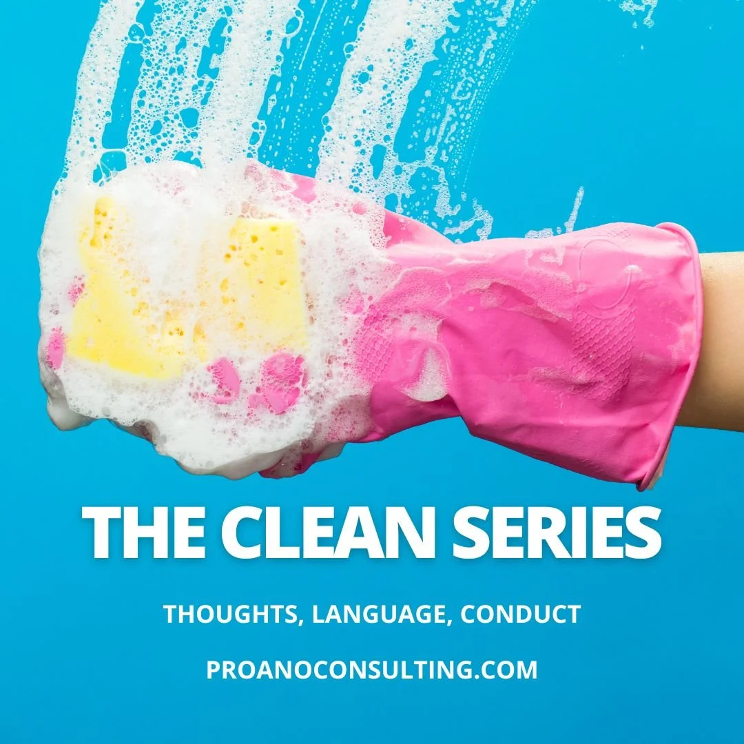 An overview of the clean series — Proano Consulting