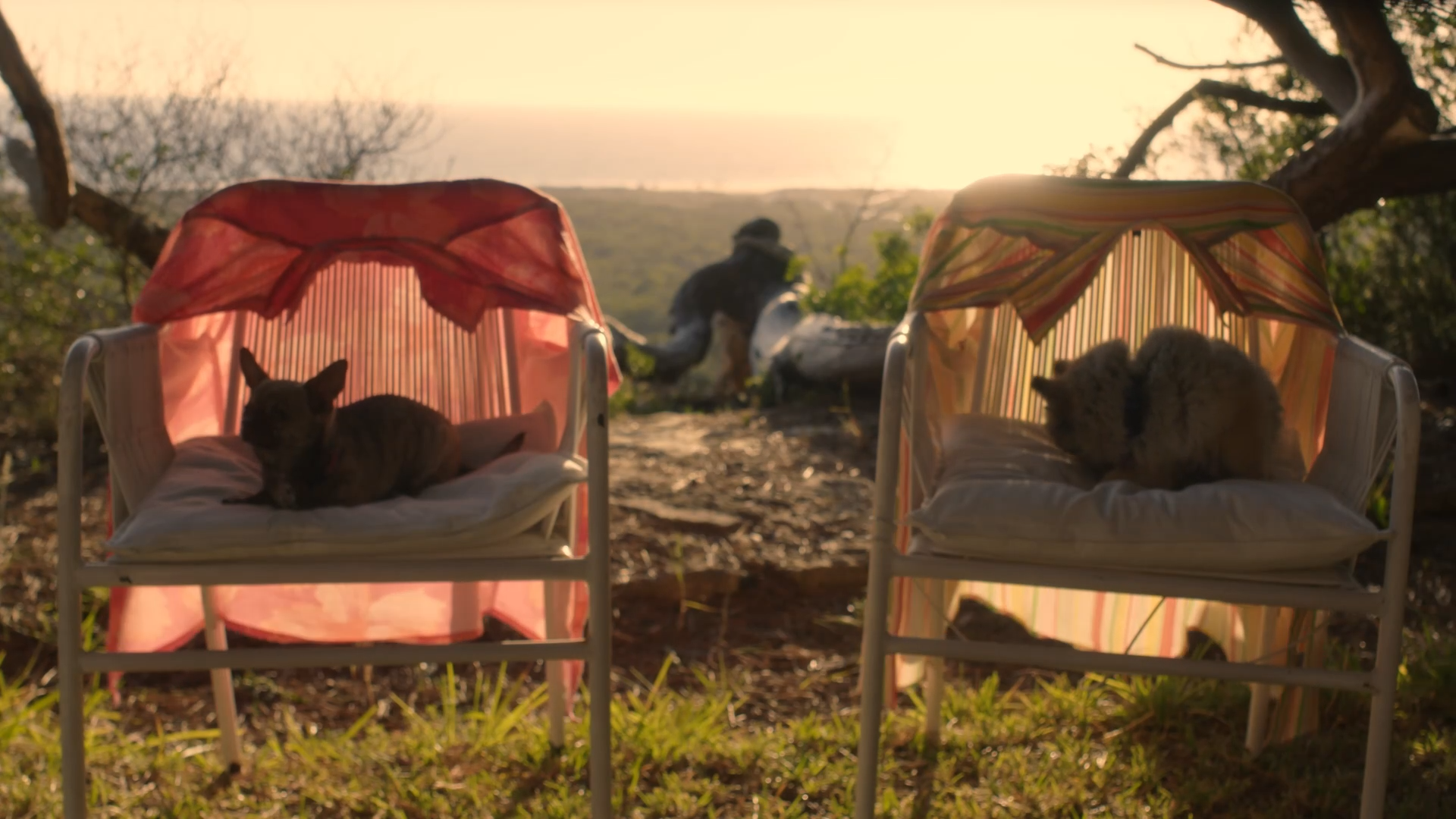 Still 2026-01-13 115221_1.1.10.png