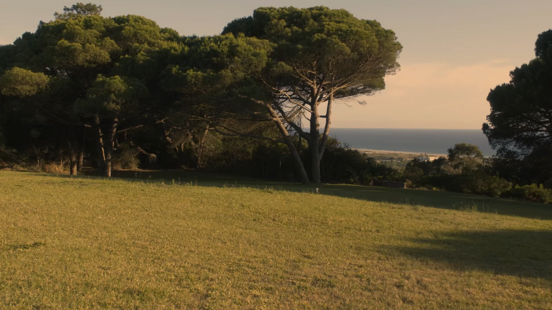 Still 2026-01-13 120314_1.1.1.png