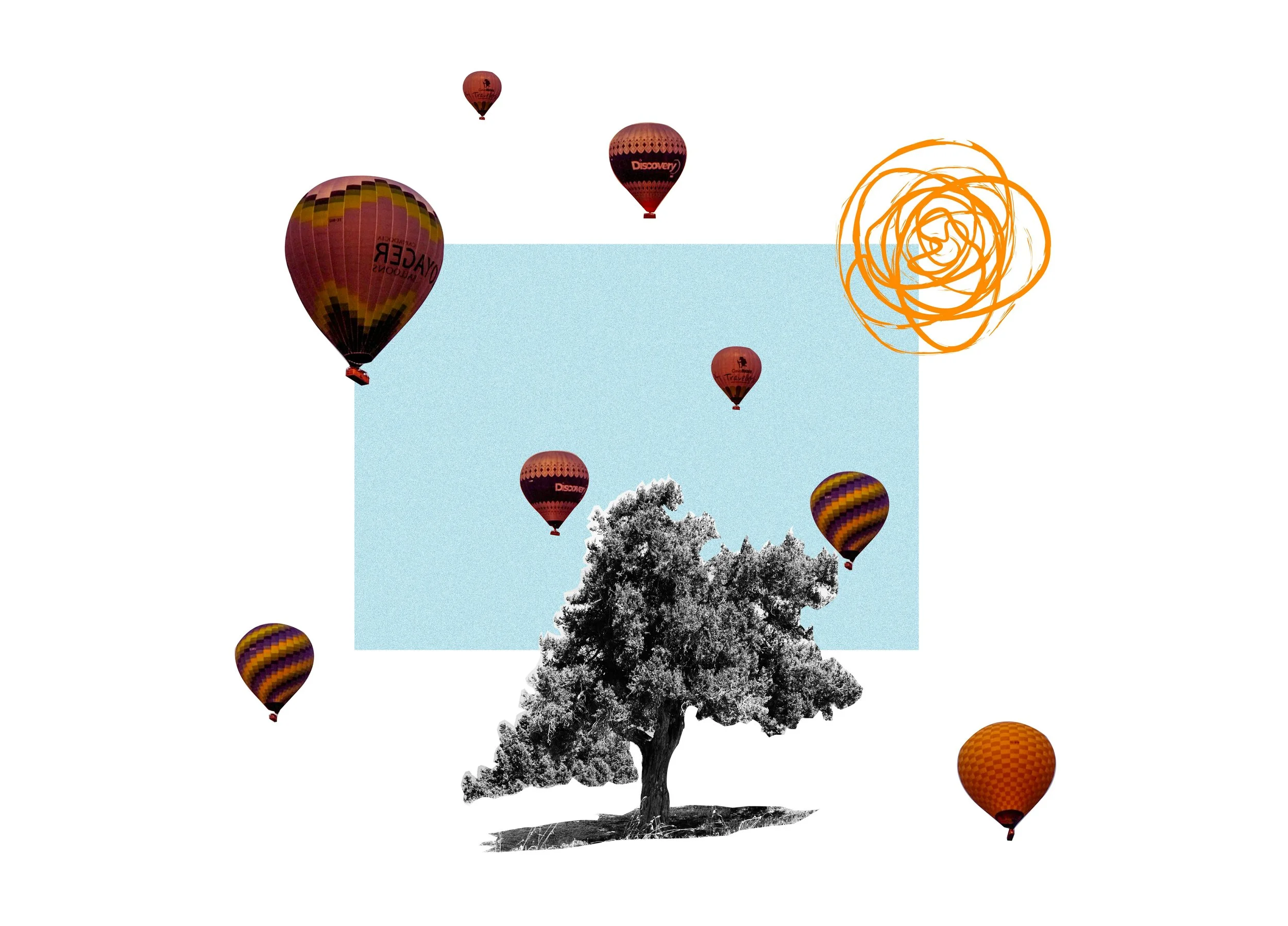 Cost of Living Adjustment (COLA) for Federal Employees