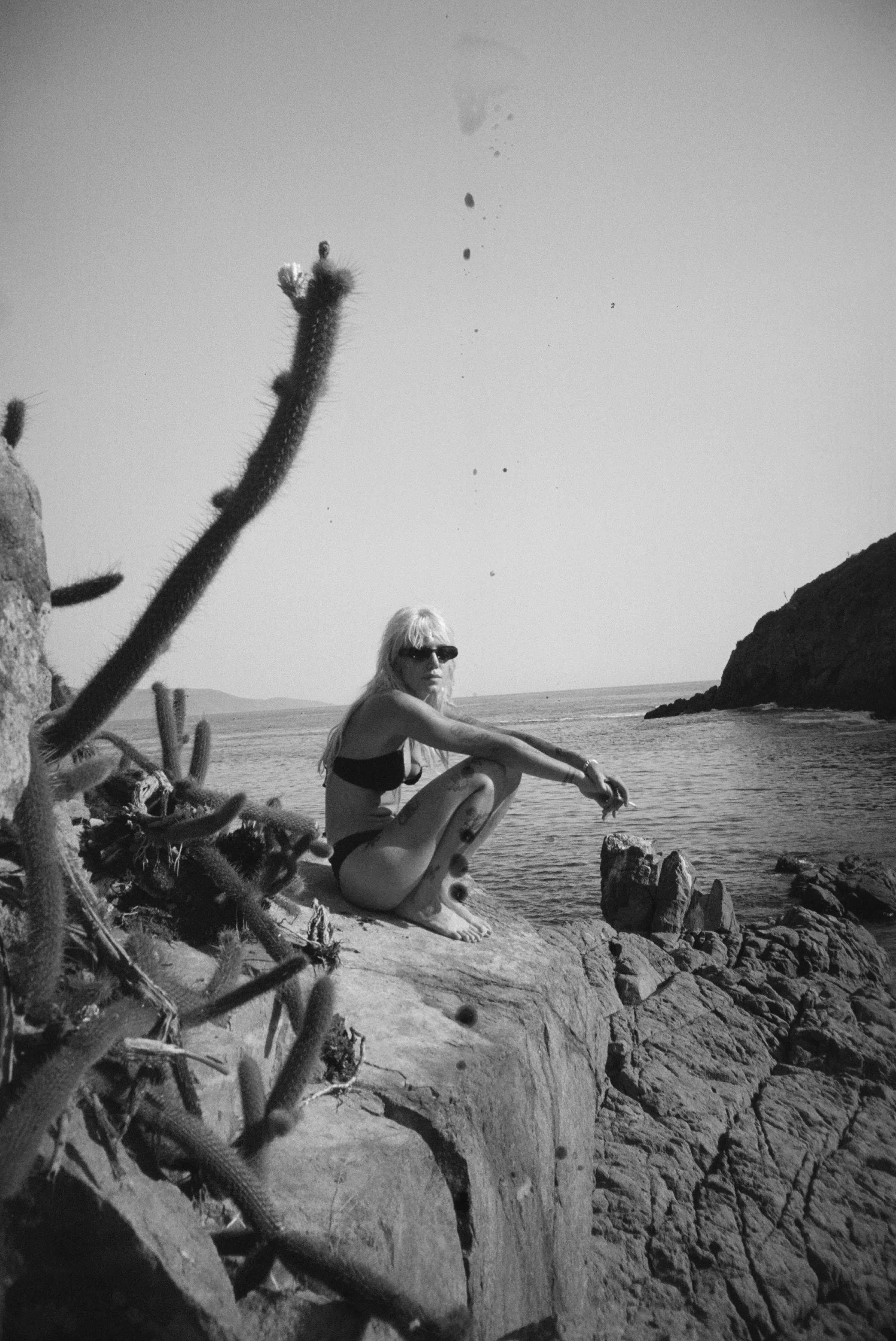 sab_bay_bw.jpg