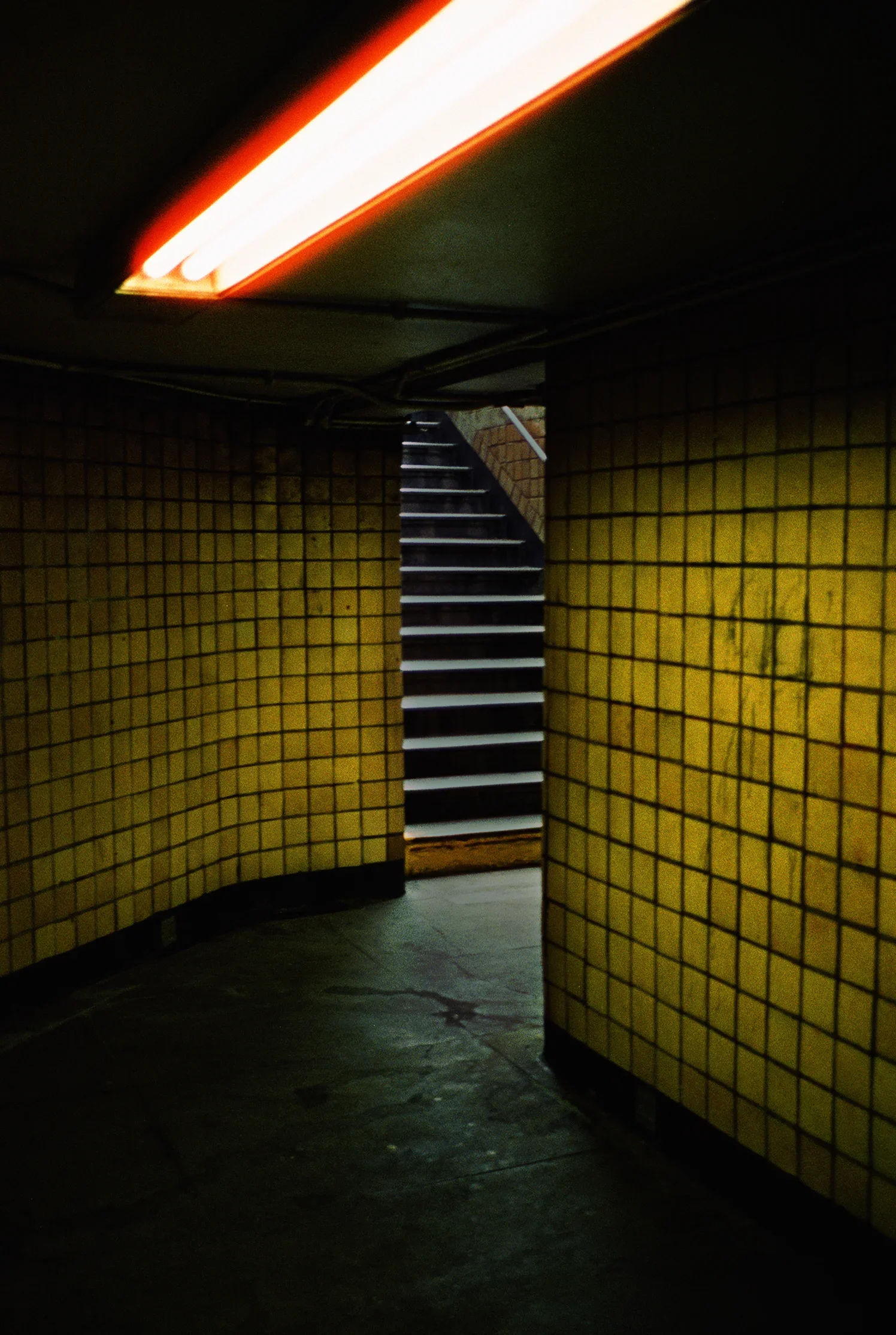 yellowungrd_2.webp