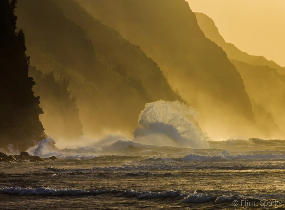 Title Troubles (Part 5 in the Book Chronicles)