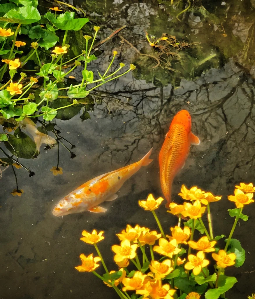 And the questions come storming . . .