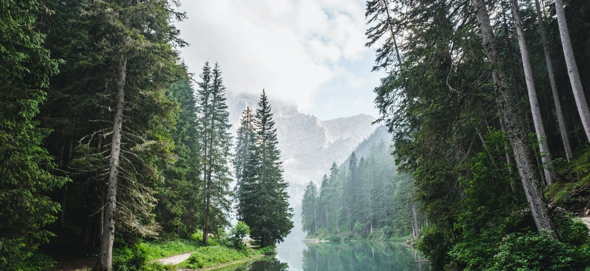 Wisdom Daylong: Sustaining Rate