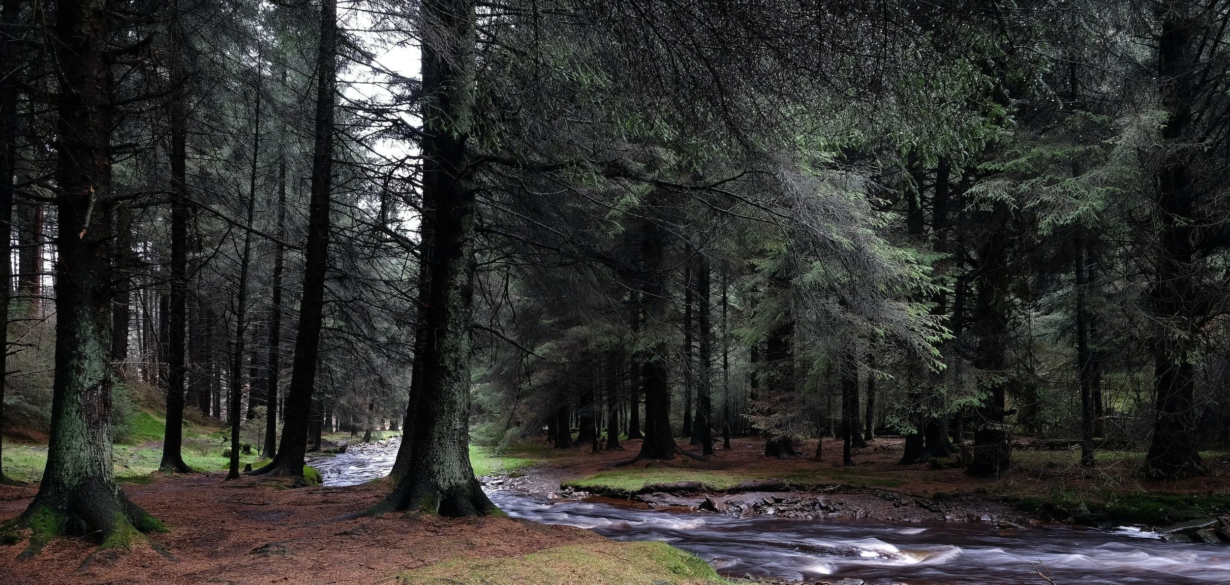 Patience Daylong: Sustaining Rate