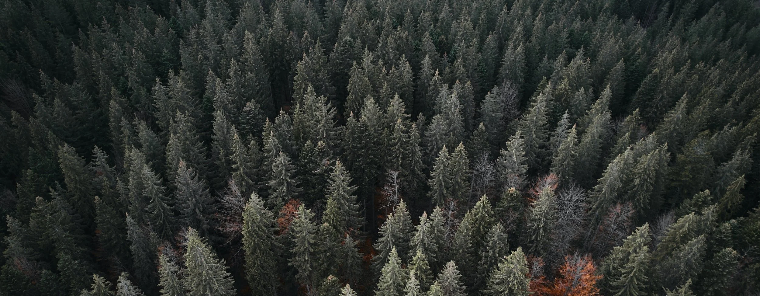 Energy Daylong: Sustaining Rate