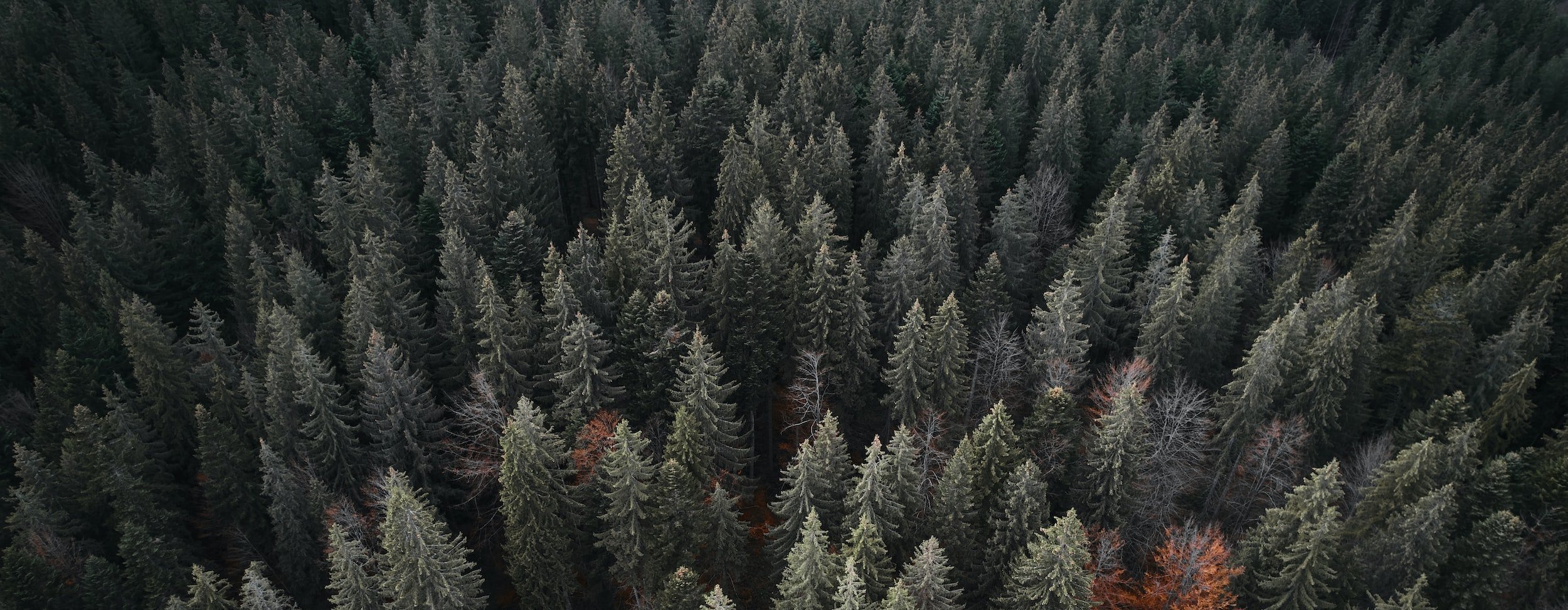 Energy Daylong: Supported Rate