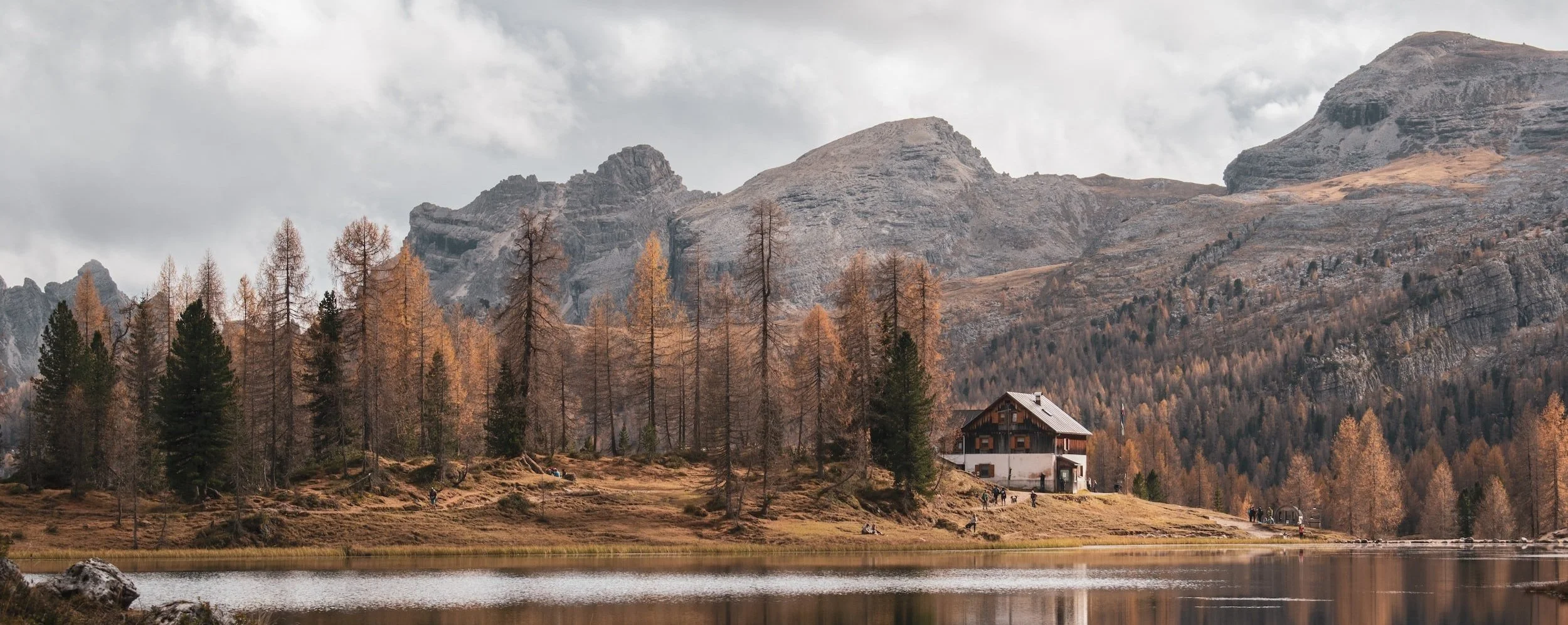 Equanimity Daylong: Supported Rate