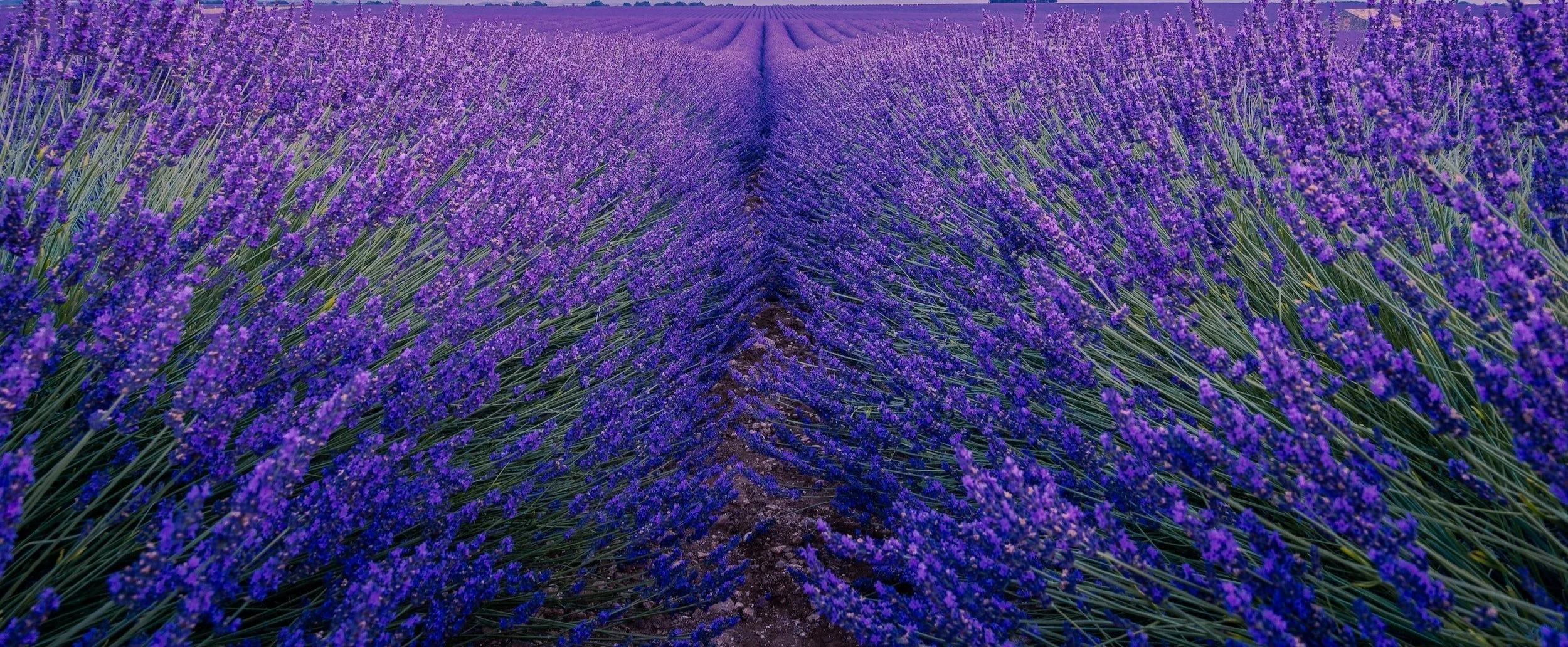 Generosity is the Answer: Supported Rate