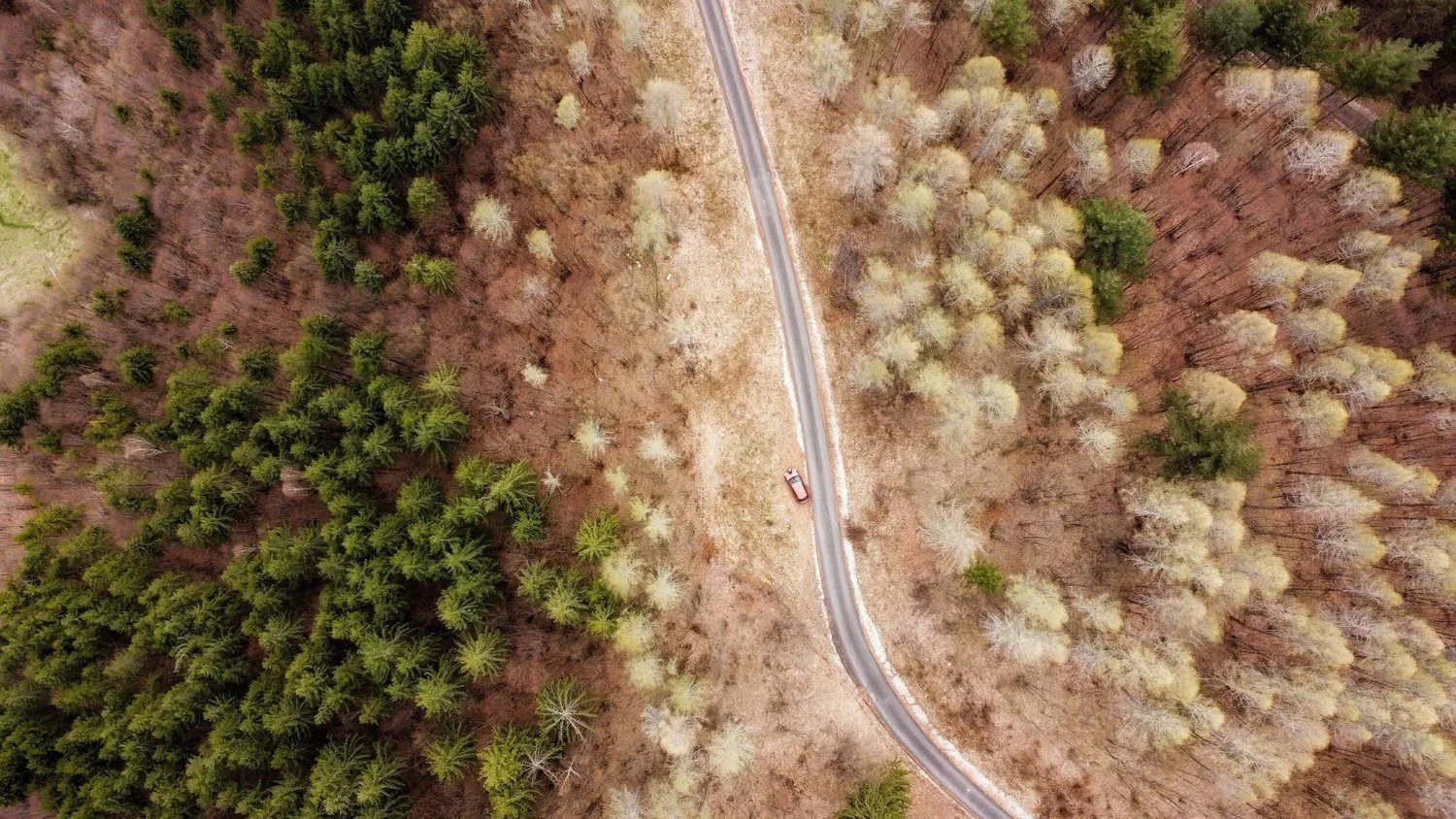 Awakening Energy: Benefactor Rate